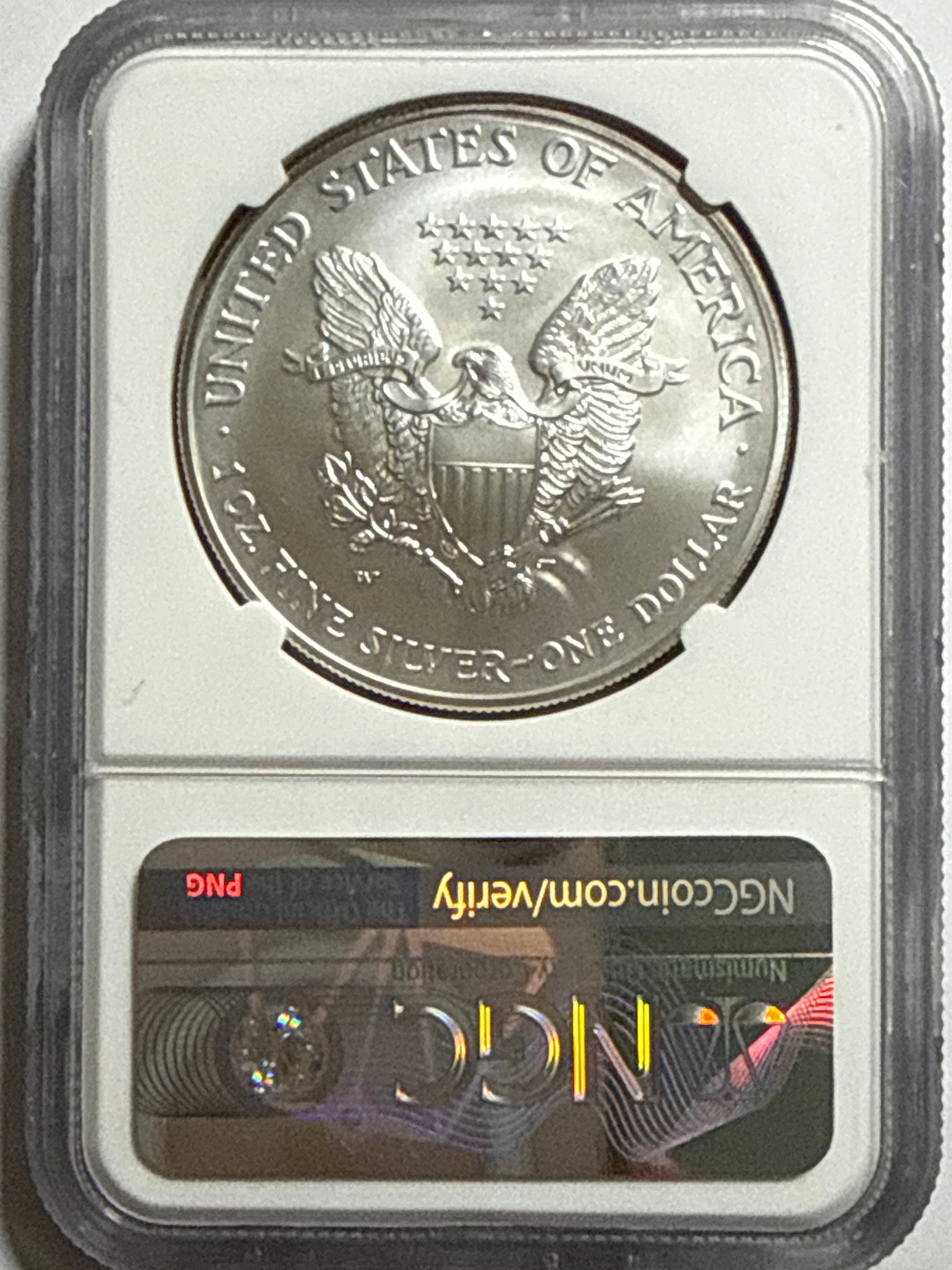 2006-W Burnished American Silver Eagle NGC MS70