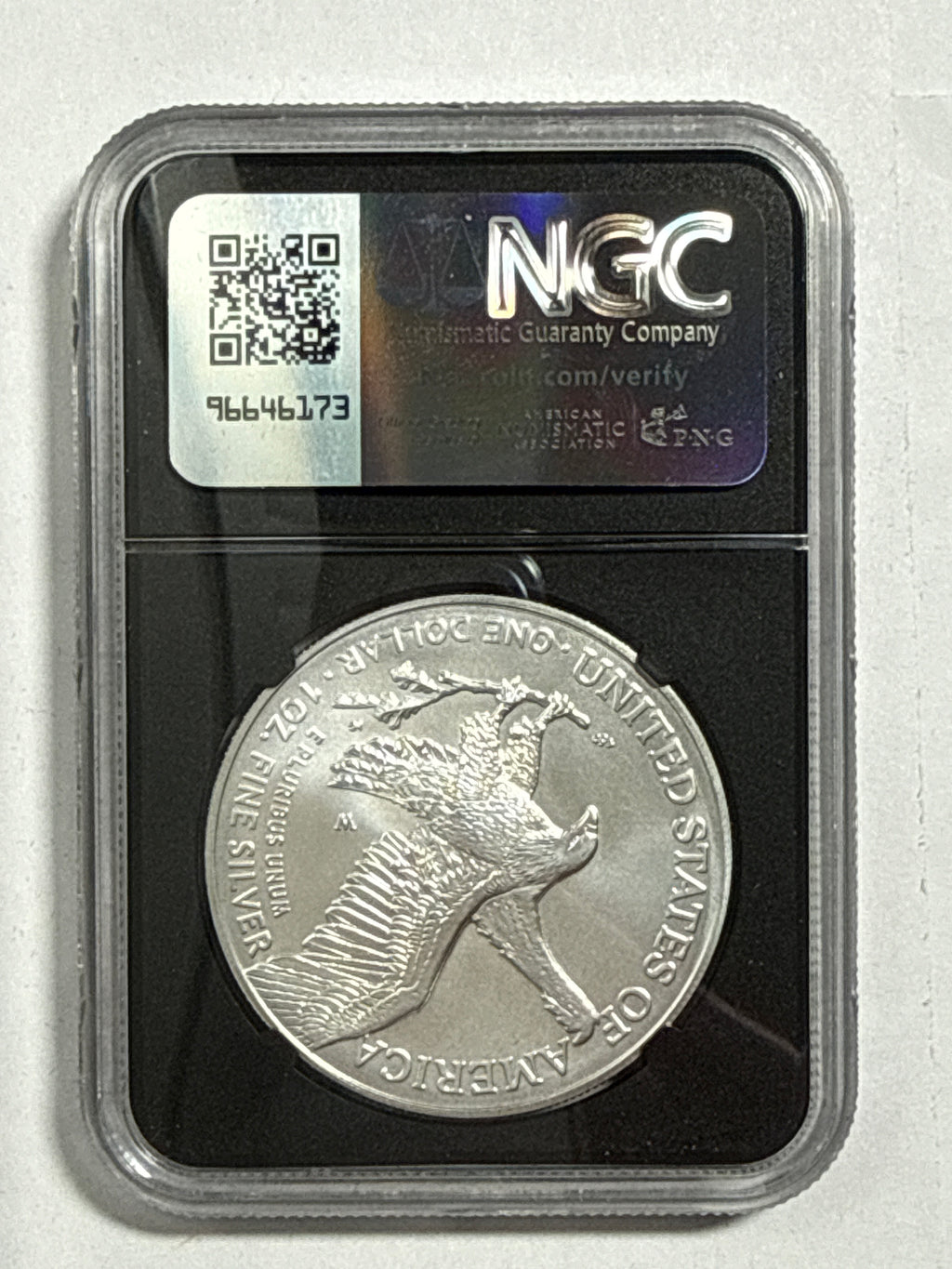 2025-W Burnished American Silver Eagle 5 Piece Set NGC MS70 FDOI Mercanti/Gaudioso/Ryder/Frost/Damstra with sisplay box