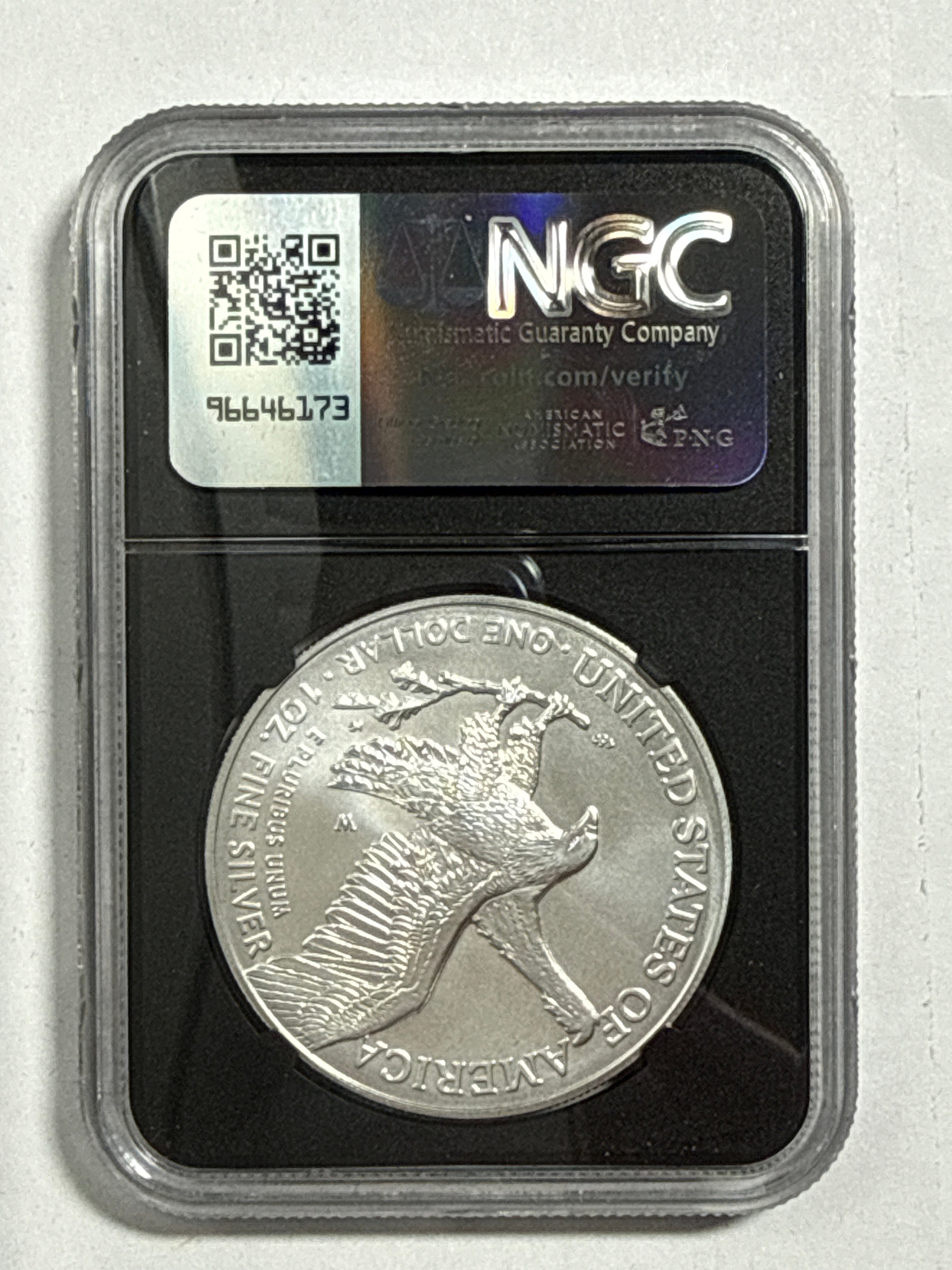 2025-W Burnished American Silver Eagle 5 Piece Set NGC MS70 FDOI Mercanti/Gaudioso/Ryder/Frost/Damstra with sisplay box