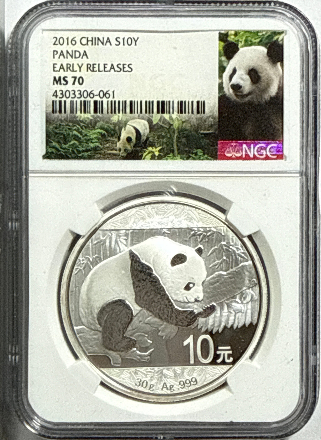 2016 China Silver Panda 10 Yuan NGC Early Release MS70
