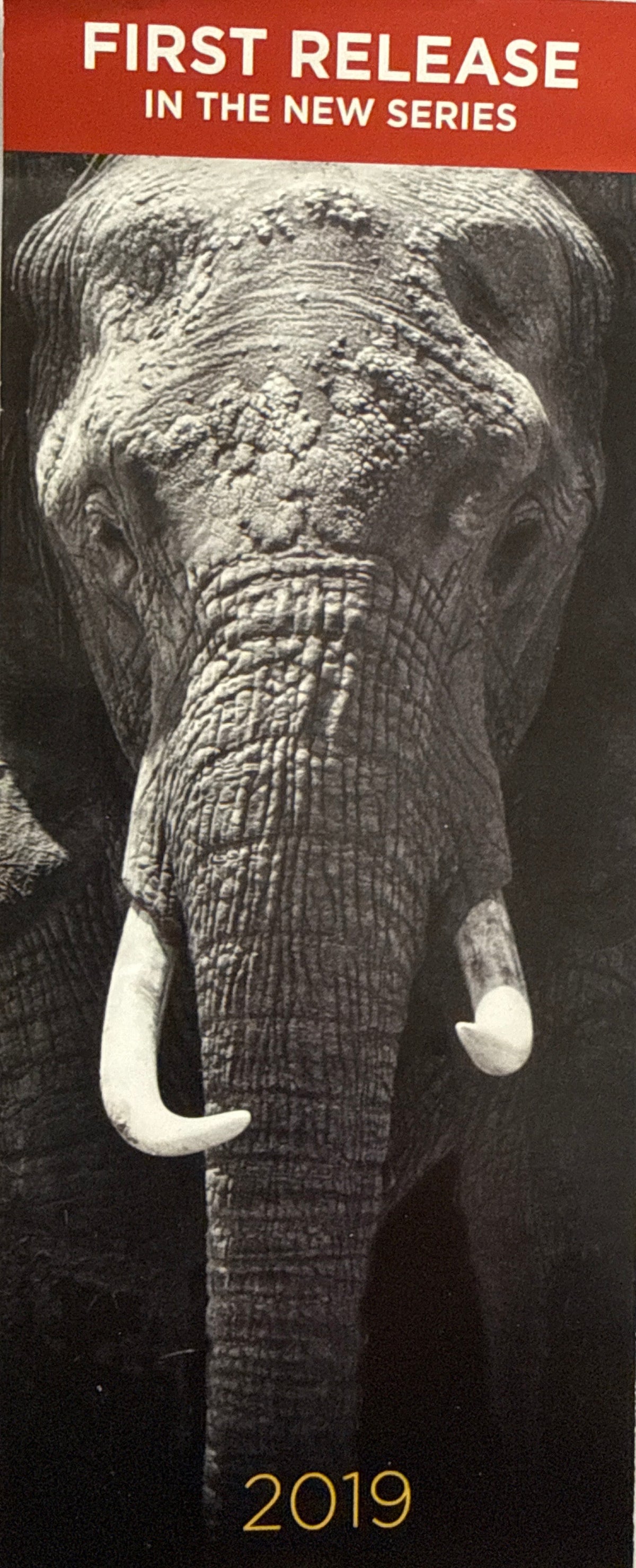2019/2020/2021/ South Africa NGC FDI PF70 UCAM S5R Big 5 Elephant/Lion/Rhino/Spotted Leopard/Buffalo Tumi Tsehio signed
