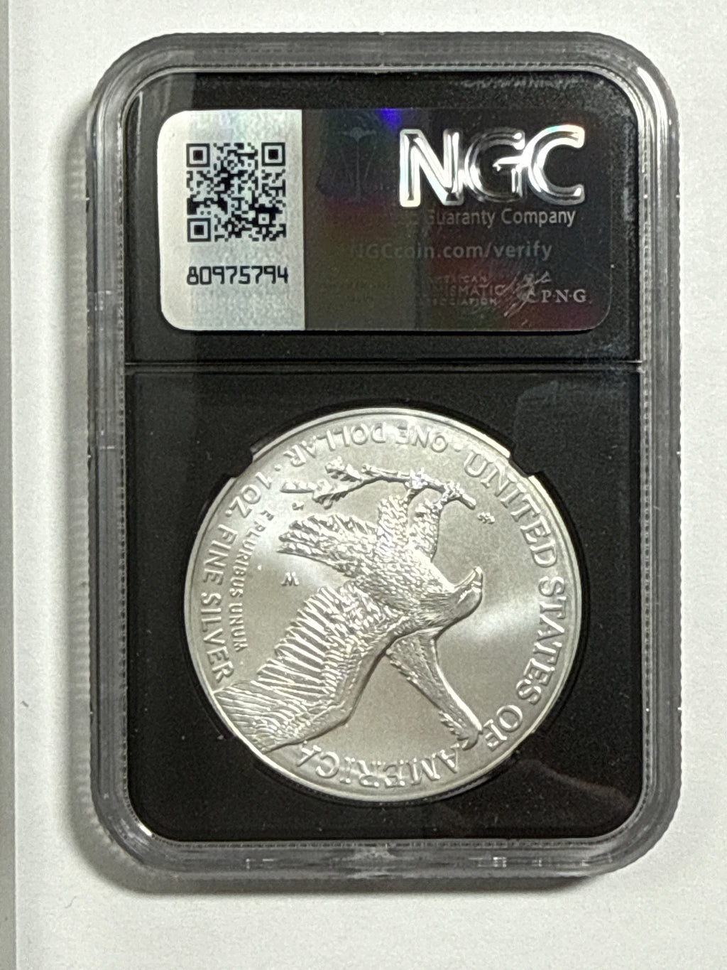 2024-W Burnished American Silver Eagle 5 Piece Set NGC/PCGS MS70/SP70 FDOI  Mercanti/Ryder/Jones/Gaudioso/Damstra with display box.