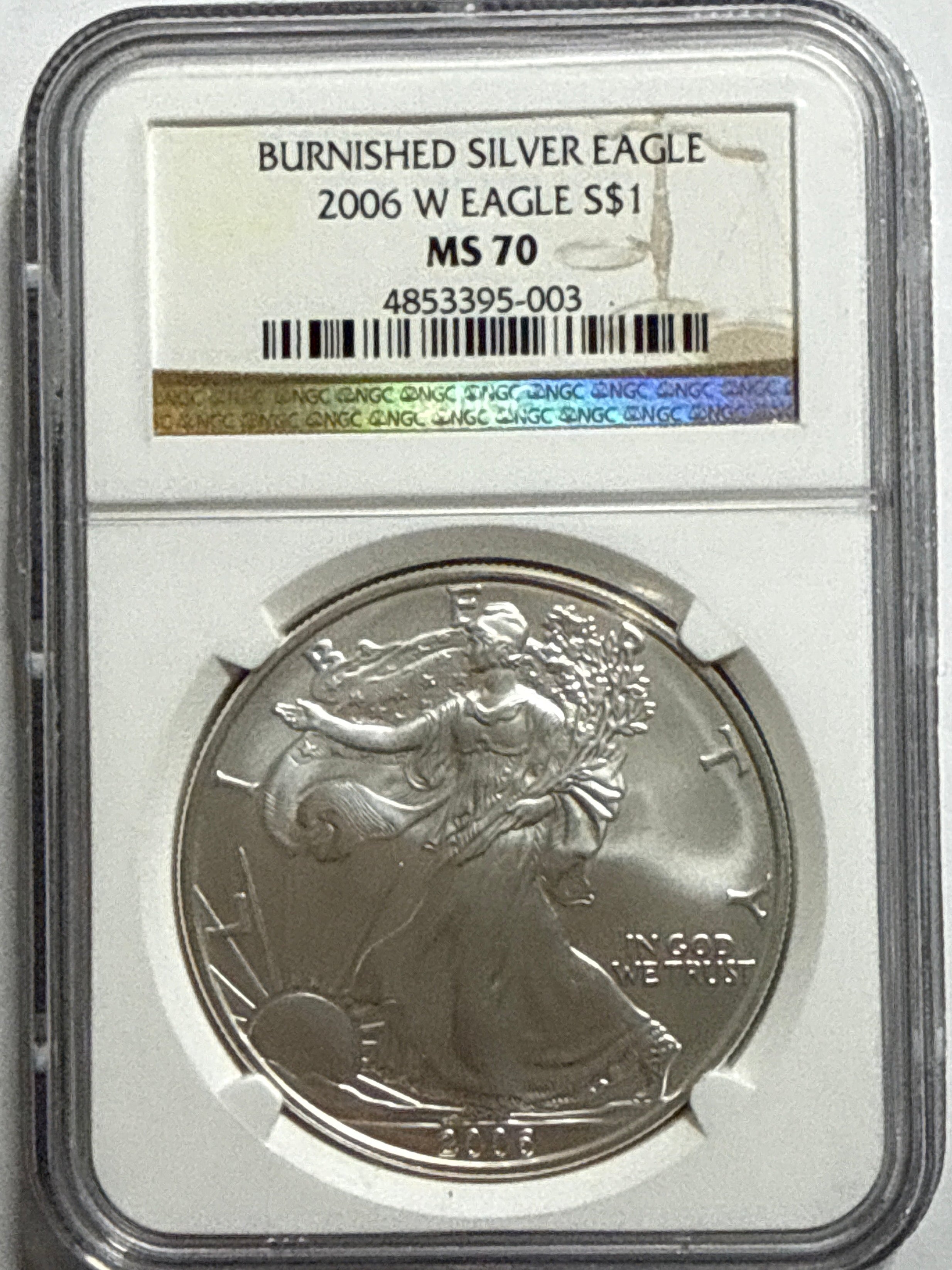 2006-W Burnished American Silver Eagle NGC MS70