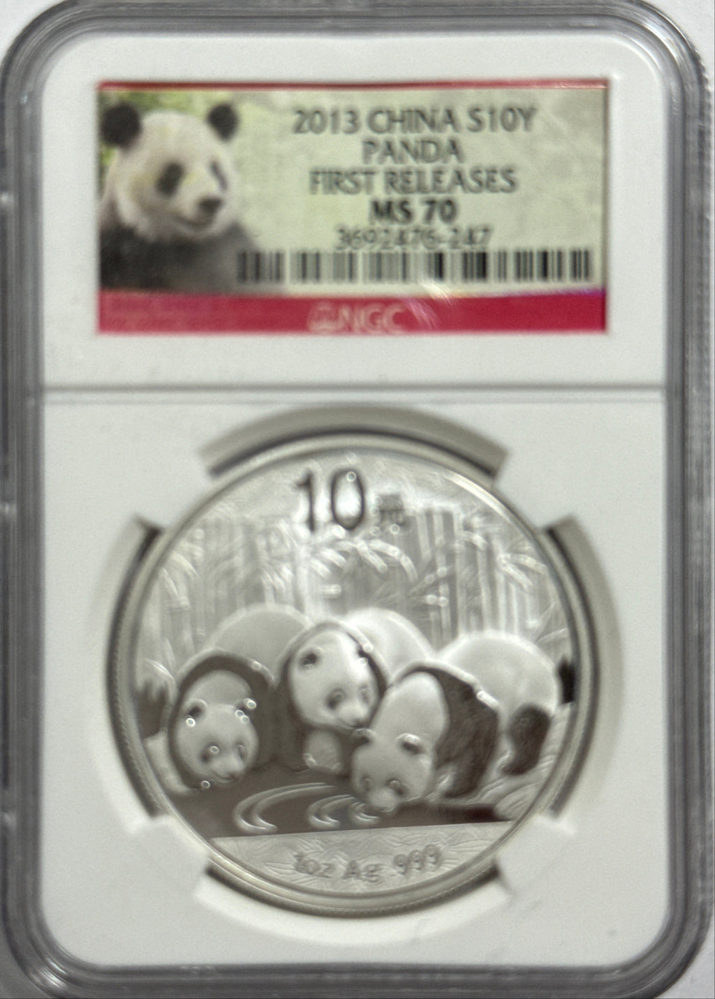 2013 China Silver Panda 10 Yuan NGC First Release MS70
