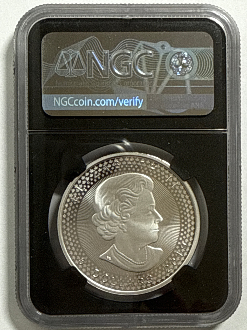 2019 Pride of Two Nations Set Canada $5 Maple Leaf -Canada 2 Coin Box Set with CoA NGC FDI Modified PF70 Susan Taylor. 2019-W Pride of Two Nations American Silver Eagle $1  Canada Set FDI Enhanced Rev PF70 John Mercanti.