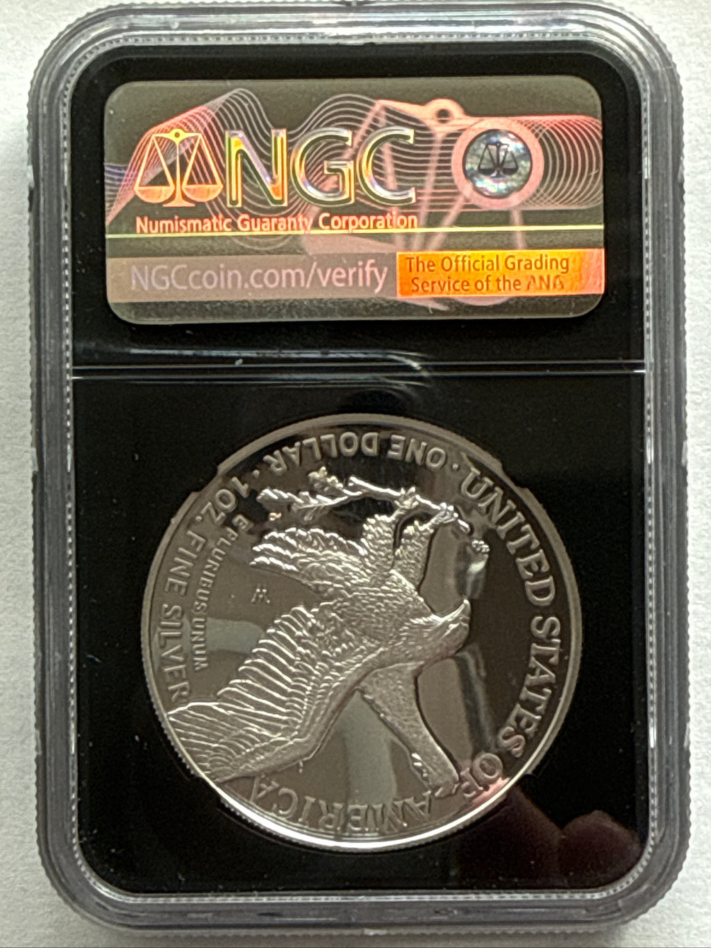 2021-W American Silver Eagle NGC PR70 UCAM FDOI Eagle Landing T-2  BL M. Gaudioso