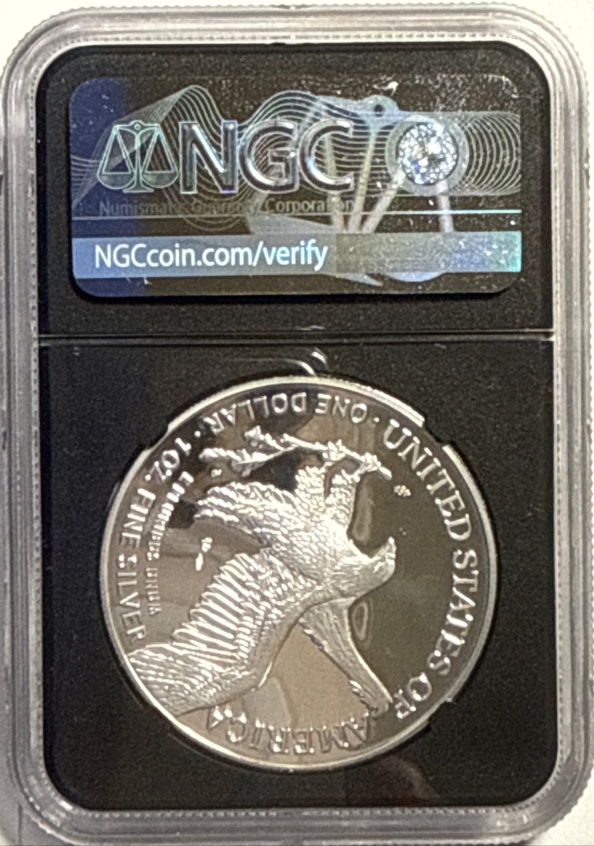 2021-W American Silver Eagle $1 Eagle Landing T-2 NGC ER MS70 Black Core