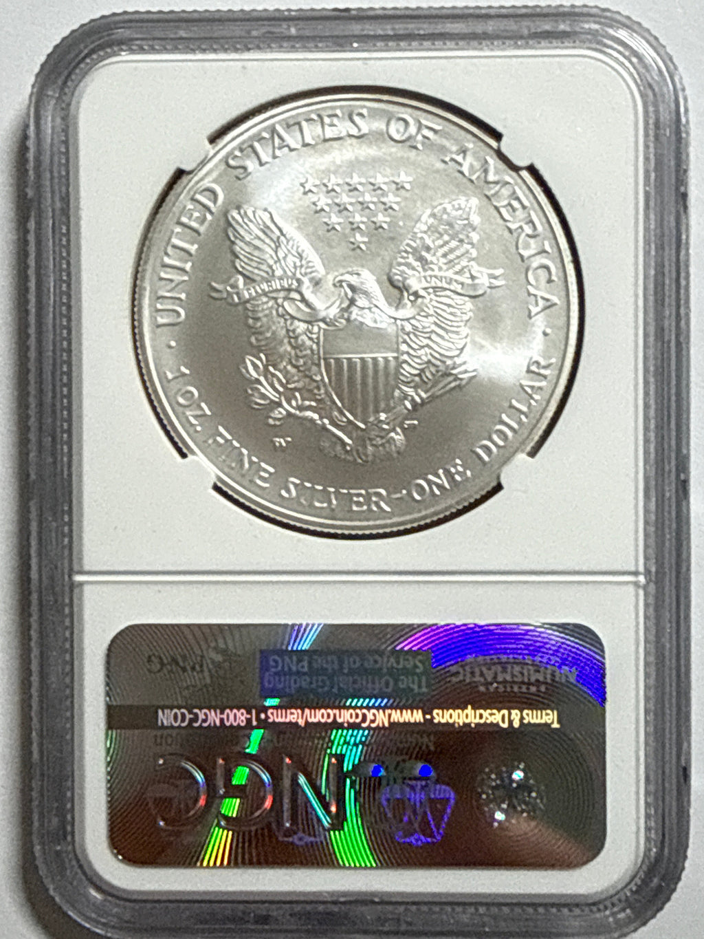 2007-W (Burnished) American Silver Eagle NGC MS70 ER