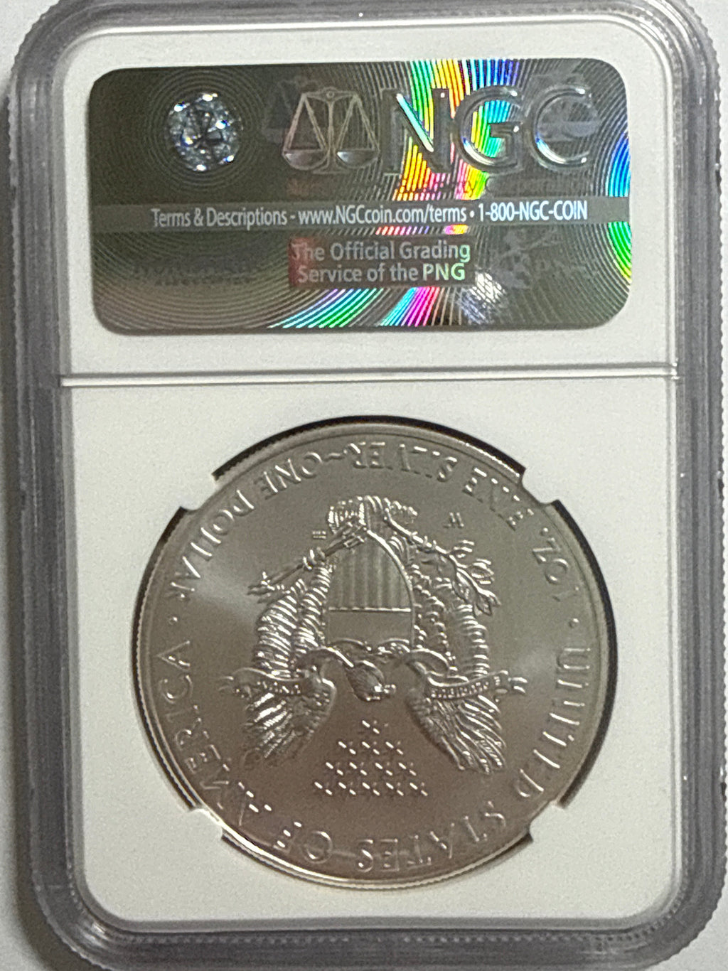2007-W (Burnished) American Silver Eagle NGC MS70 ER
