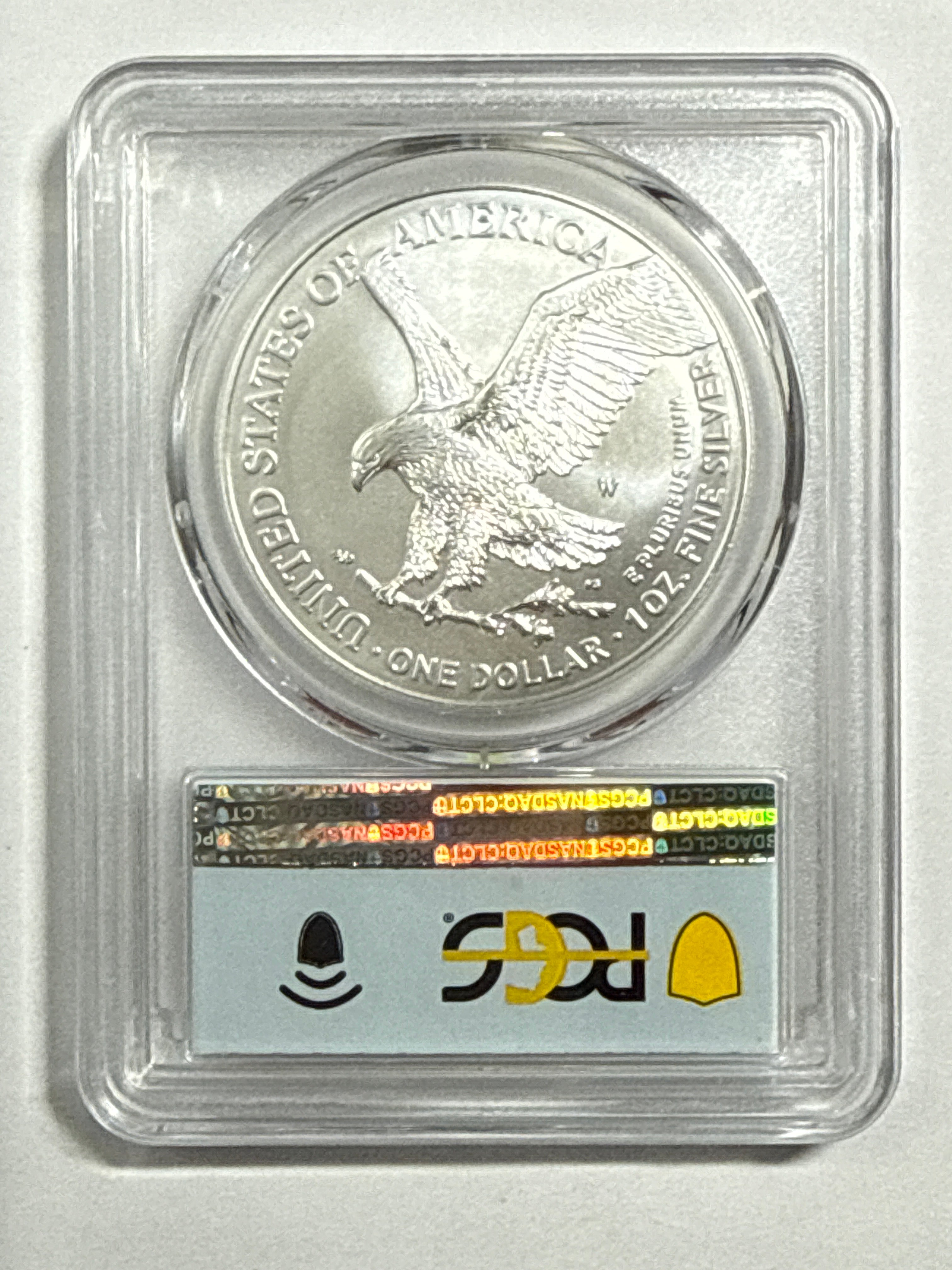 2022-W Burnished American Silver Eagle PCGS SP70 FDOI