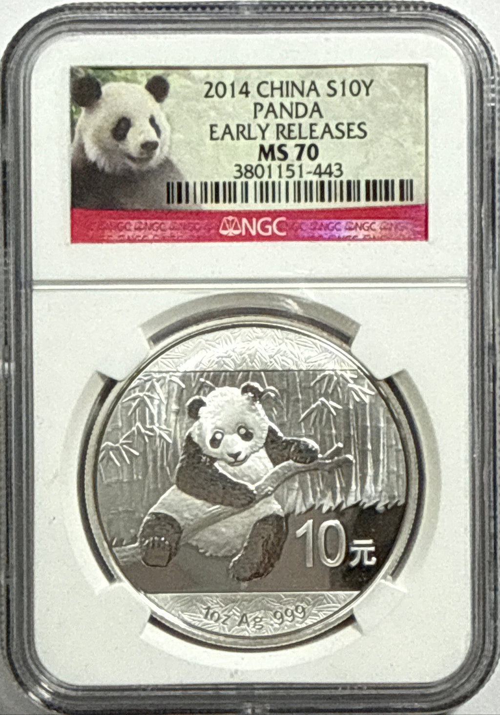 2014 China Silver Panda 10 Yuan NGC Early Release MS70