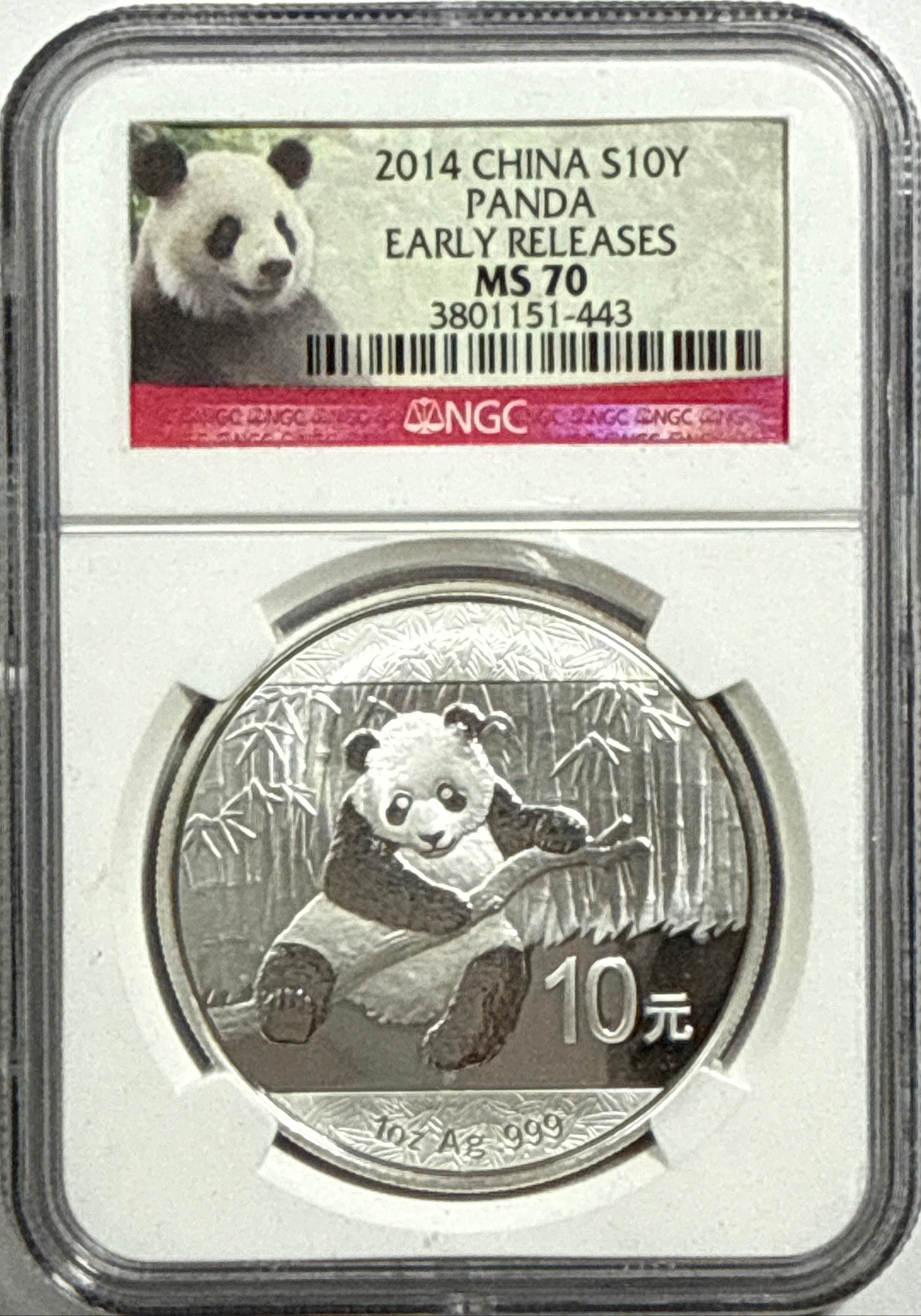 2014 China Silver Panda 10 Yuan NGC Early Release MS70