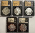 2019/2020/2021/ South Africa NGC FDI PF70 UCAM S5R Big 5 Elephant/Lion/Rhino/Spotted Leopard/Buffalo Tumi Tsehio signed