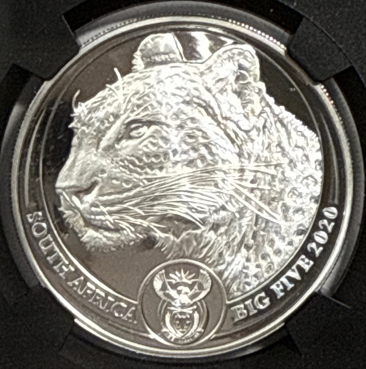 2019/2020/2021/ South Africa NGC FDI PF70 UCAM S5R Big 5 Elephant/Lion/Rhino/Spotted Leopard/Buffalo Tumi Tsehio signed