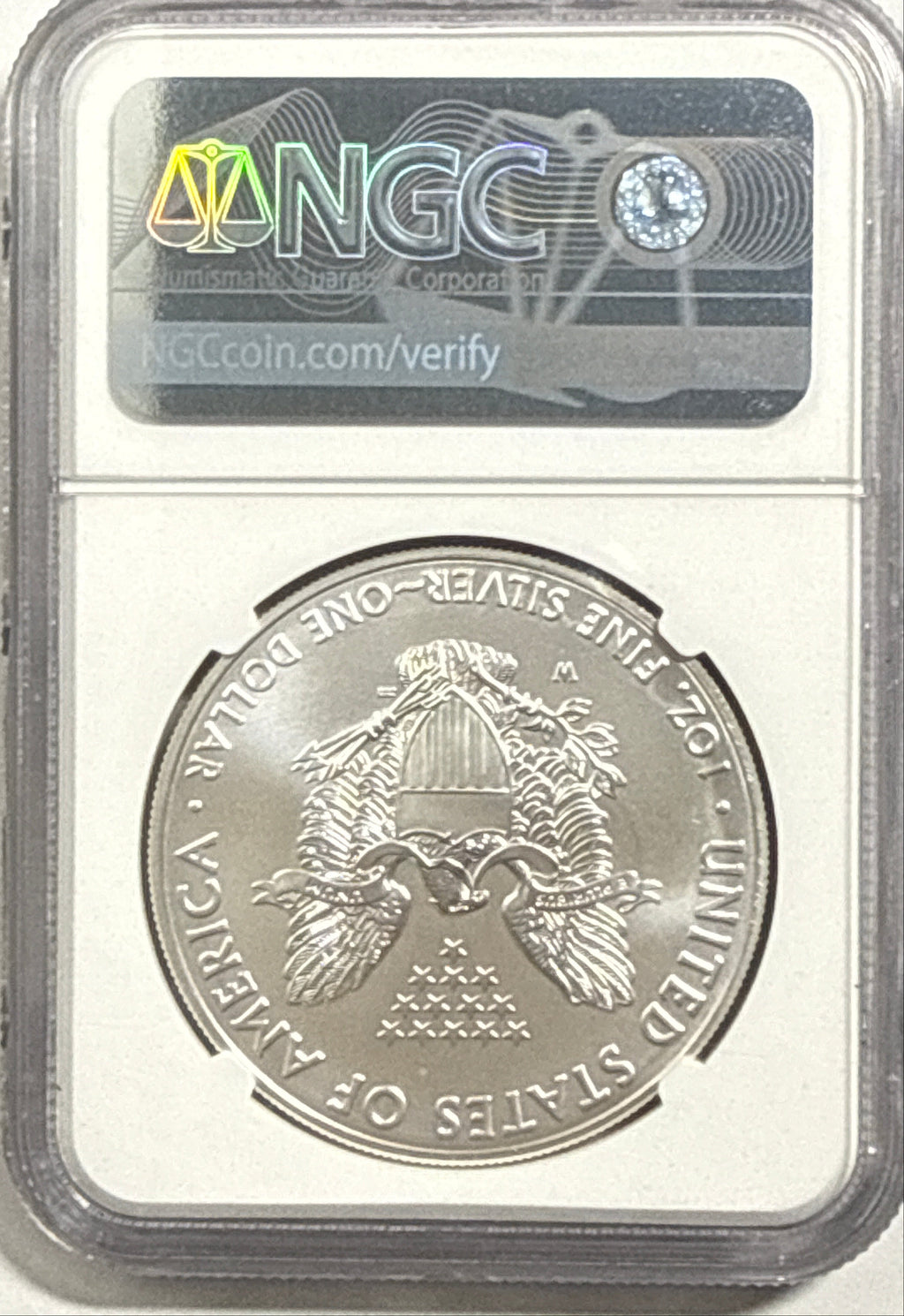 2019-W Burnished American Siver Eagle $1 NGC ER MS70 Star Label