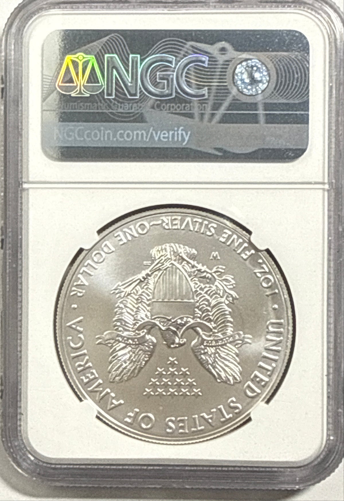 2019-W Burnished American Siver Eagle $1 NGC ER MS70 Star Label