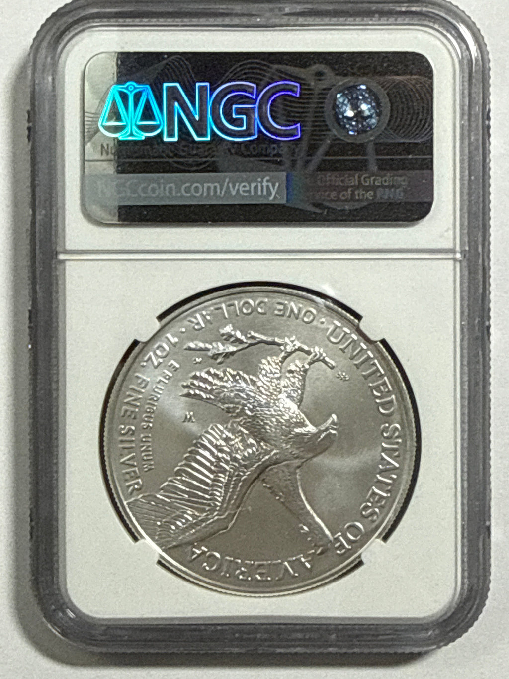 2022-W Burnished American Silver Eagle NGC MS70 FDOI