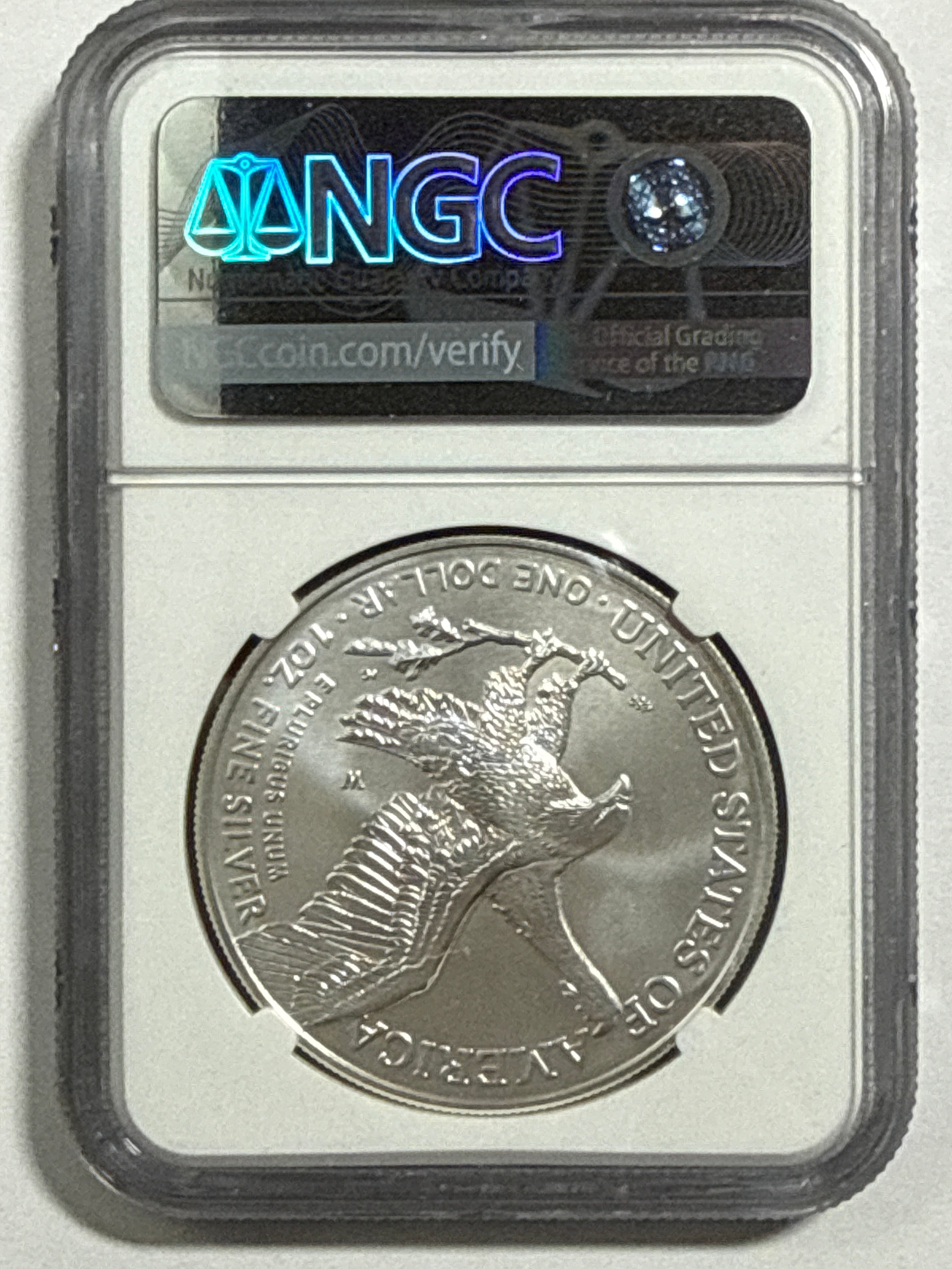 2022-W Burnished American Silver Eagle NGC MS70 FDOI
