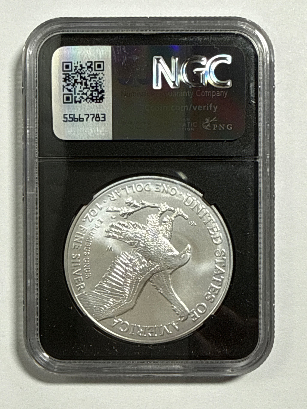 2024-W Burnished American Silver Eagle 5 Piece Set NGC/PCGS MS70/SP70 FDOI  Mercanti/Ryder/Jones/Gaudioso/Damstra with display box.