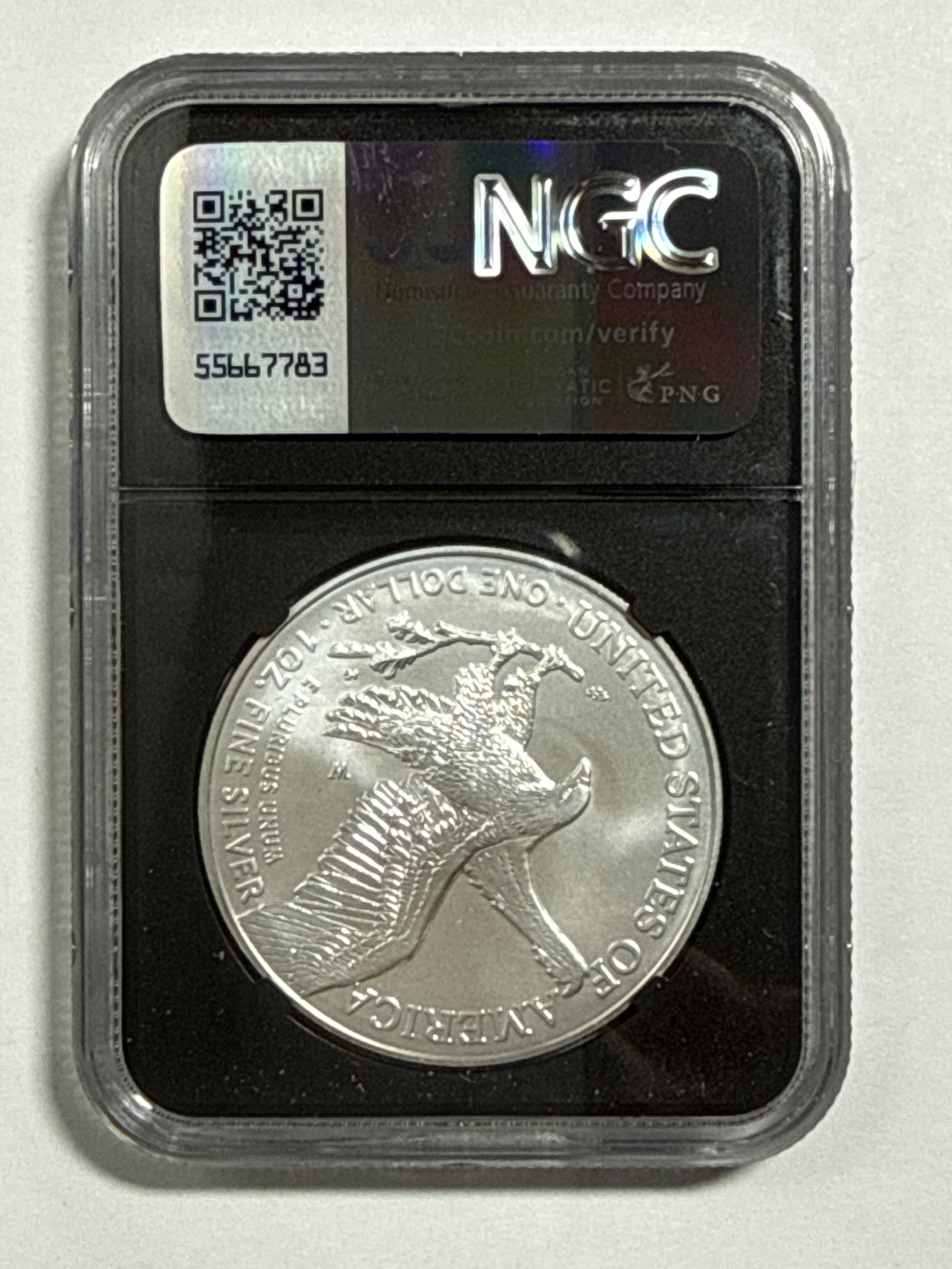 2024-W Burnished American Silver Eagle 5 Piece Set NGC/PCGS MS70/SP70 FDOI  Mercanti/Ryder/Jones/Gaudioso/Damstra with display box.