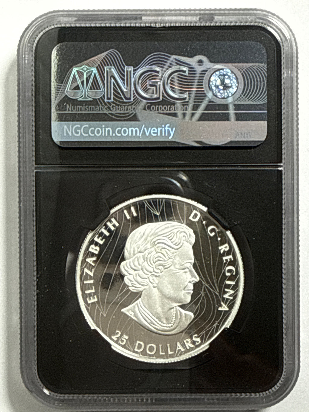 2020 Canada $25 Silver Bald Eagle NGC Extraordinary High Relief FDI PF70 UCAM Susan Taylor Hand Signed
