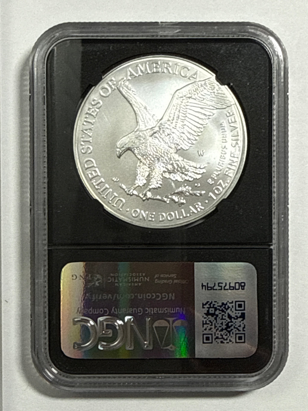 2024-W Burnished American Silver Eagle 5 Piece Set NGC/PCGS MS70/SP70 FDOI  Mercanti/Ryder/Jones/Gaudioso/Damstra with display box.
