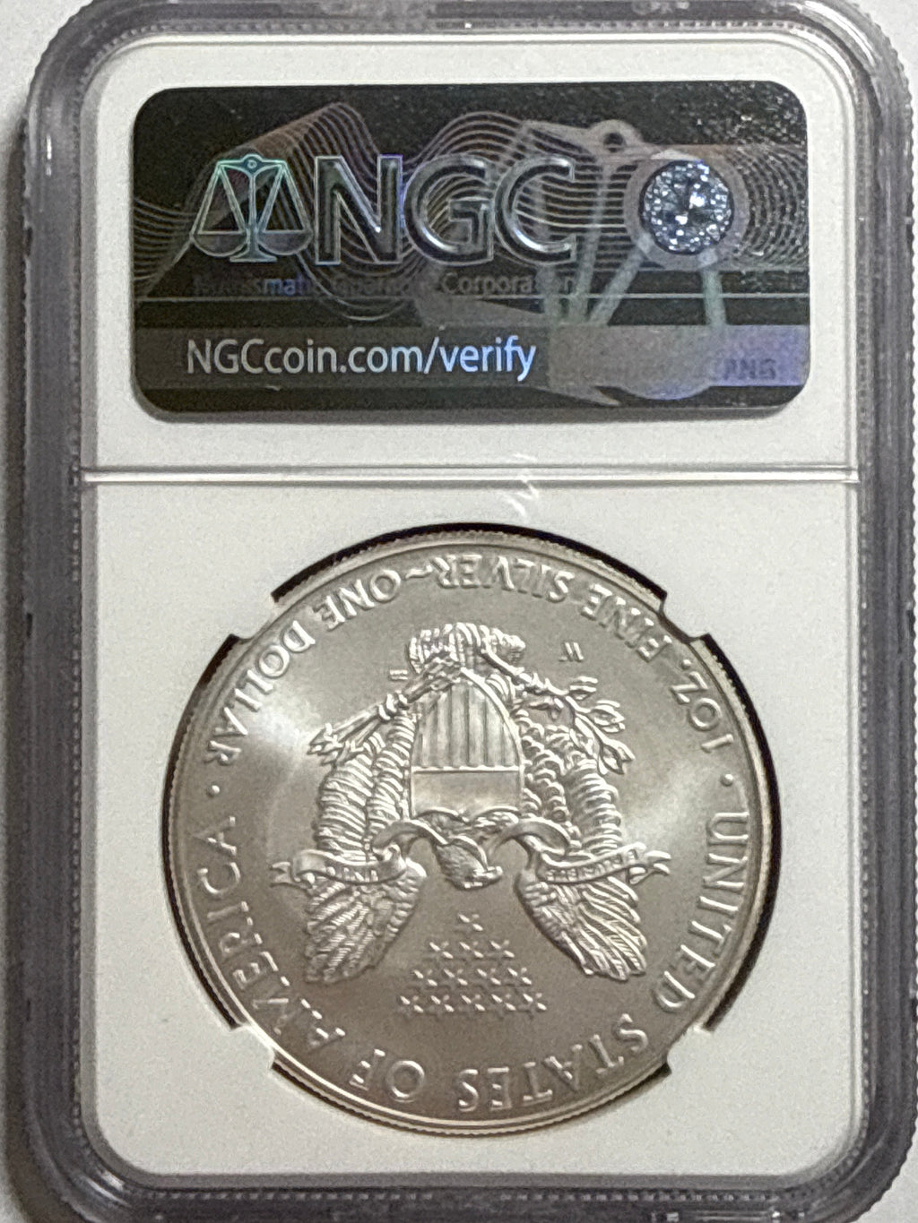 2007-W Burnished American Silver Eagle  NGC MS70 Official Mint Set