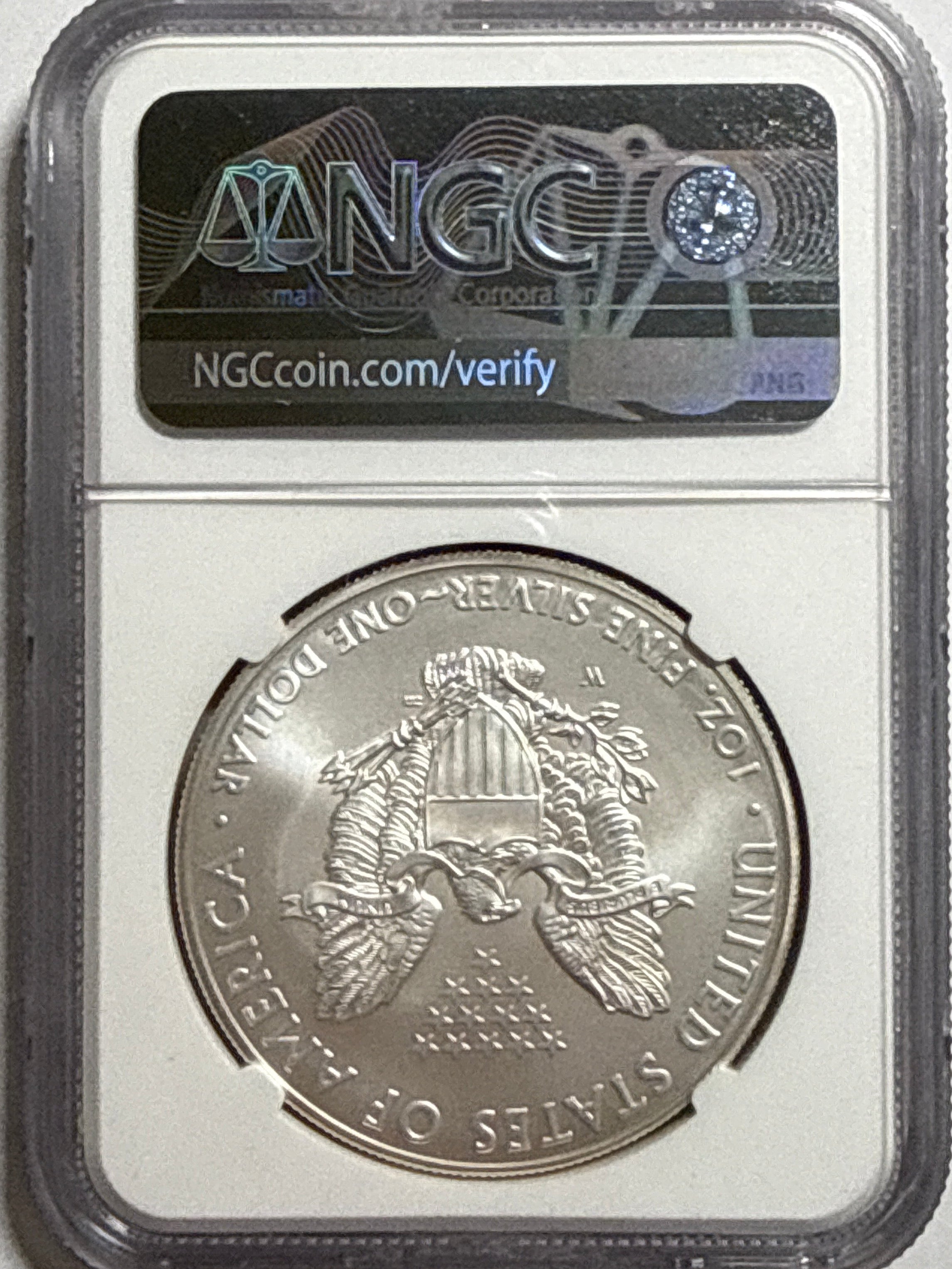 2007-W Burnished American Silver Eagle  NGC MS70 Official Mint Set