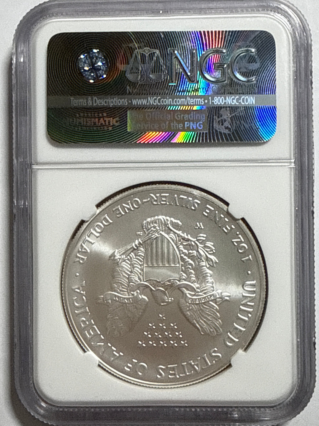 2007-W (Burnished) American Silver Eagle NGC MS70 ER