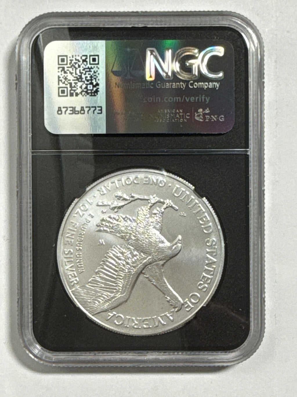 2025-W Burnished American Silver Eagle 5 Piece Set NGC MS70 FDOI Mercanti/Gaudioso/Ryder/Frost/Damstra with sisplay box