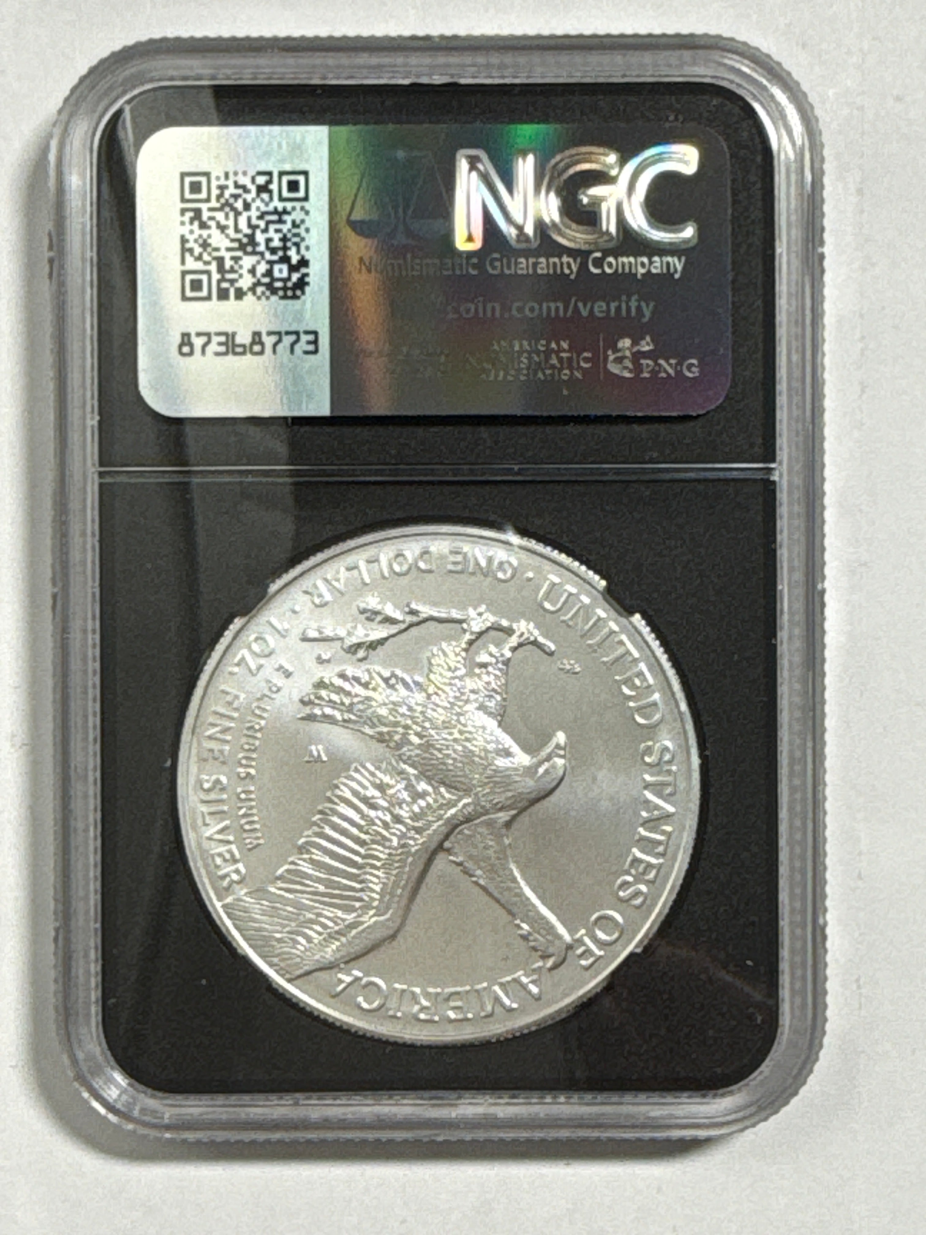 2025-W Burnished American Silver Eagle 5 Piece Set NGC MS70 FDOI Mercanti/Gaudioso/Ryder/Frost/Damstra with sisplay box