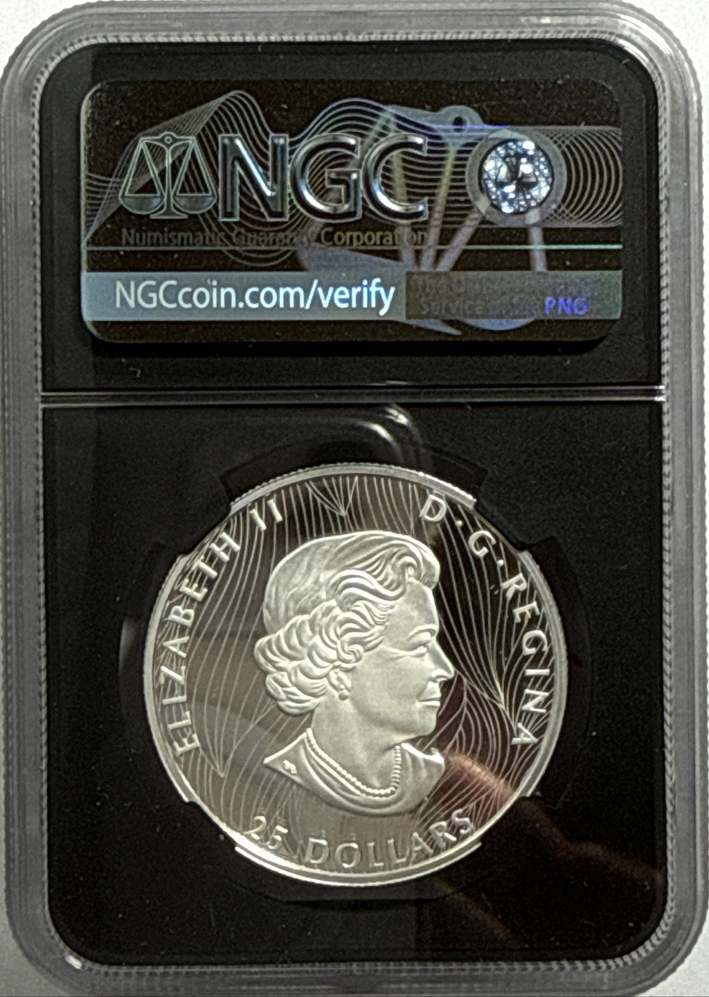 2021 Canada $25 Silver Buffalo NGC Extra High Relief First Day of Production FDI PF70 UCAM Susan Taylor Hand Signed