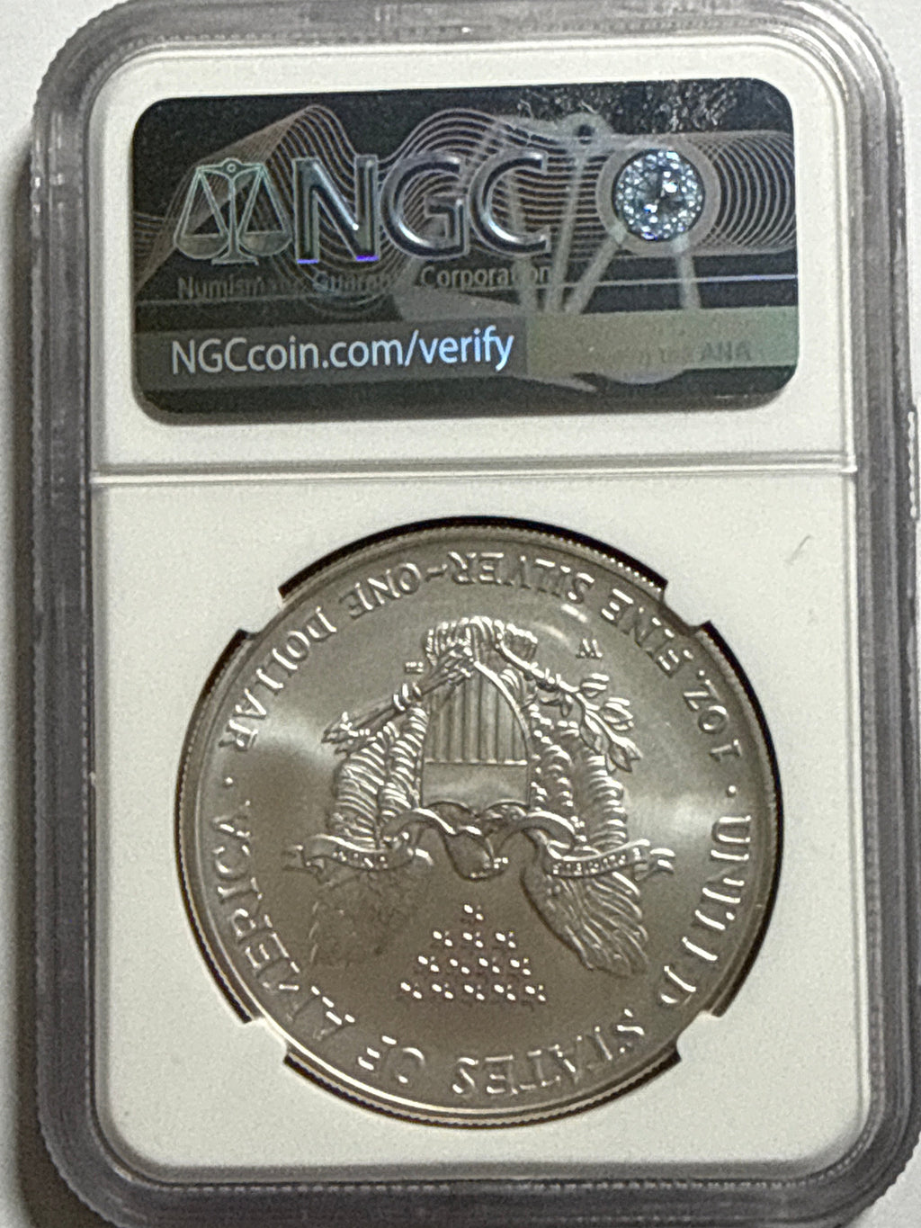 2006-W Burnished American Silver Eagle NGC MS70
