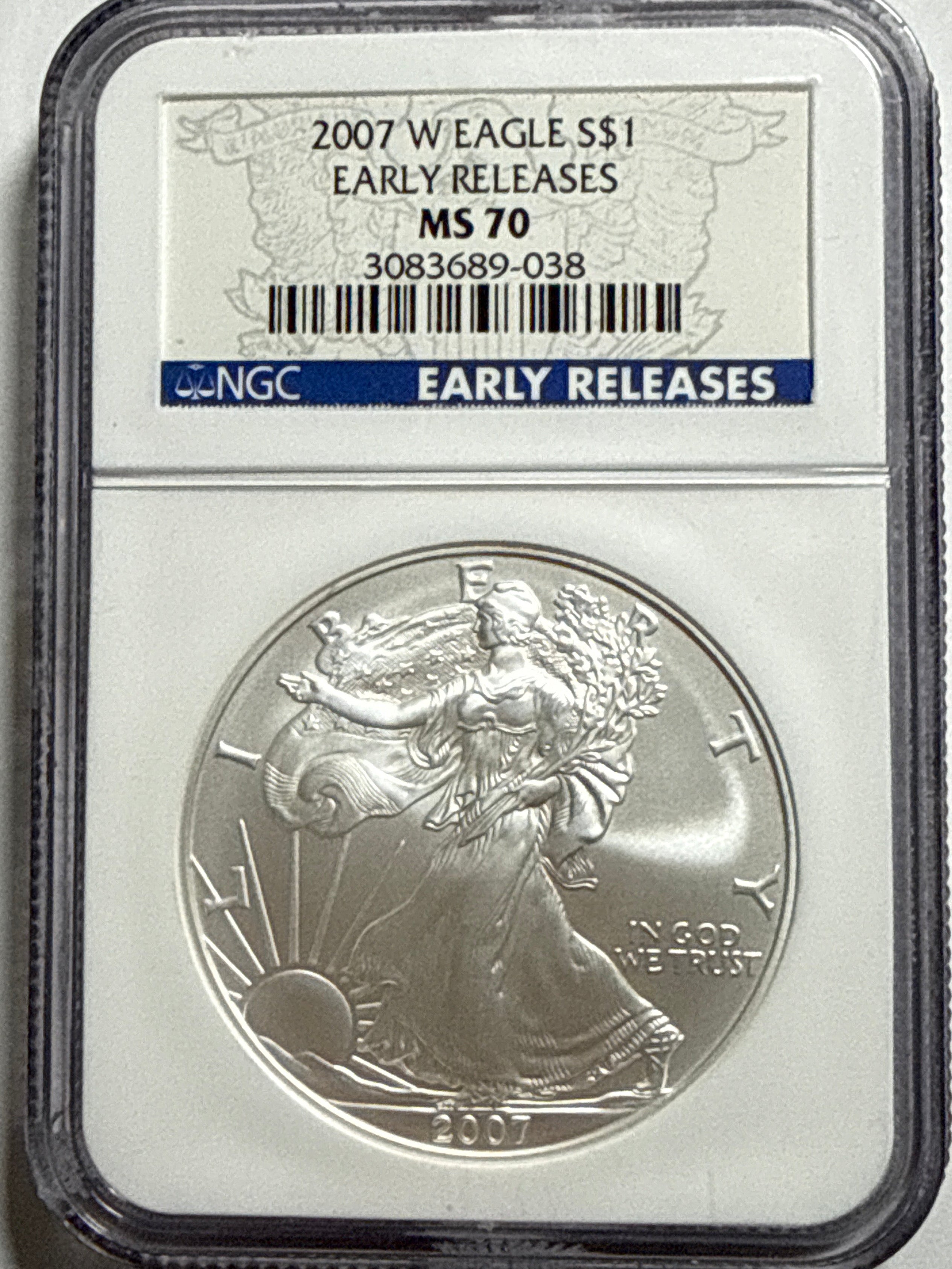 2007-W (Burnished) American Silver Eagle NGC MS70 ER