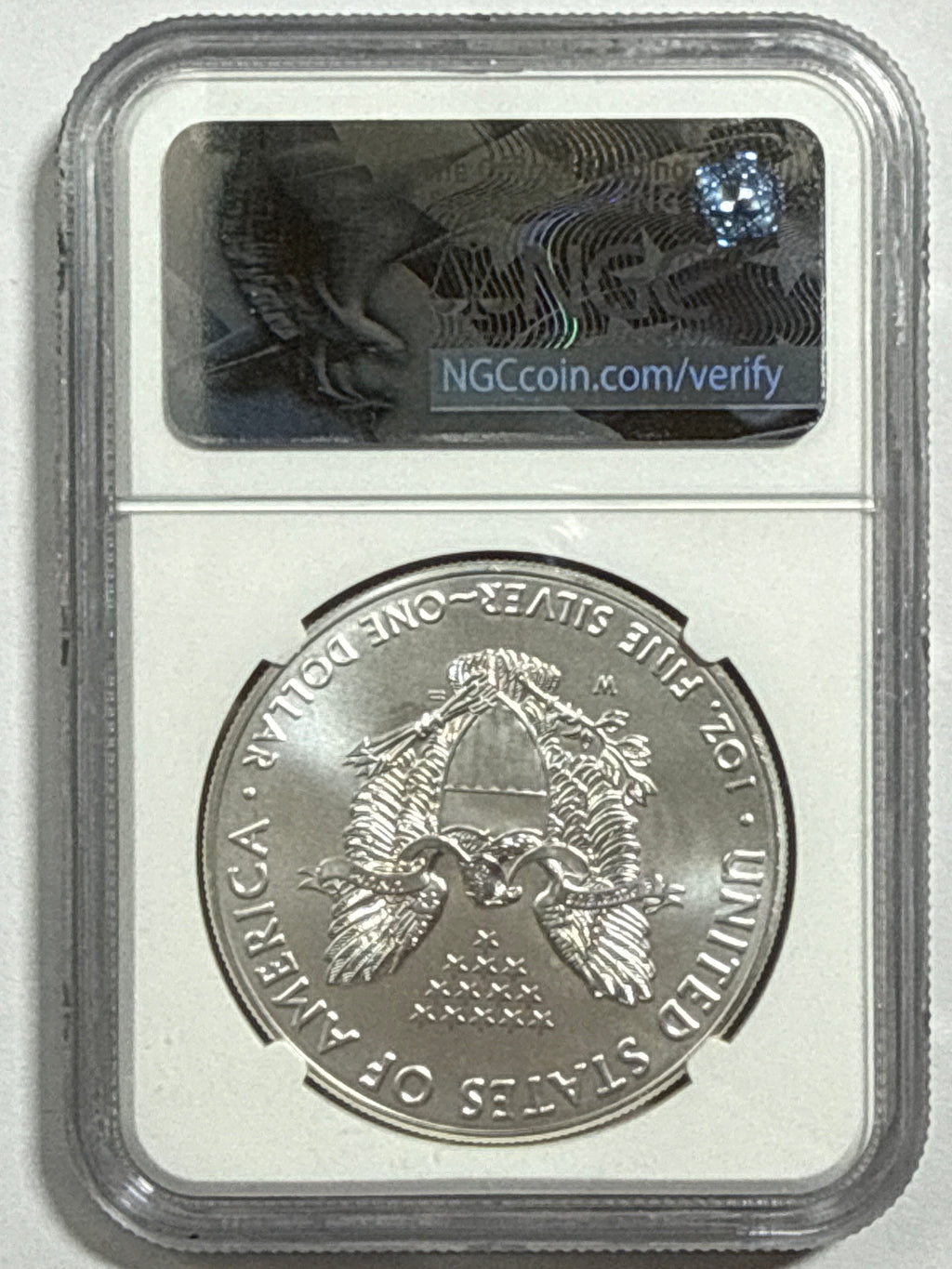 2017-W Burnished American Silver Eagle NGC MS70 FDOI Blue Label