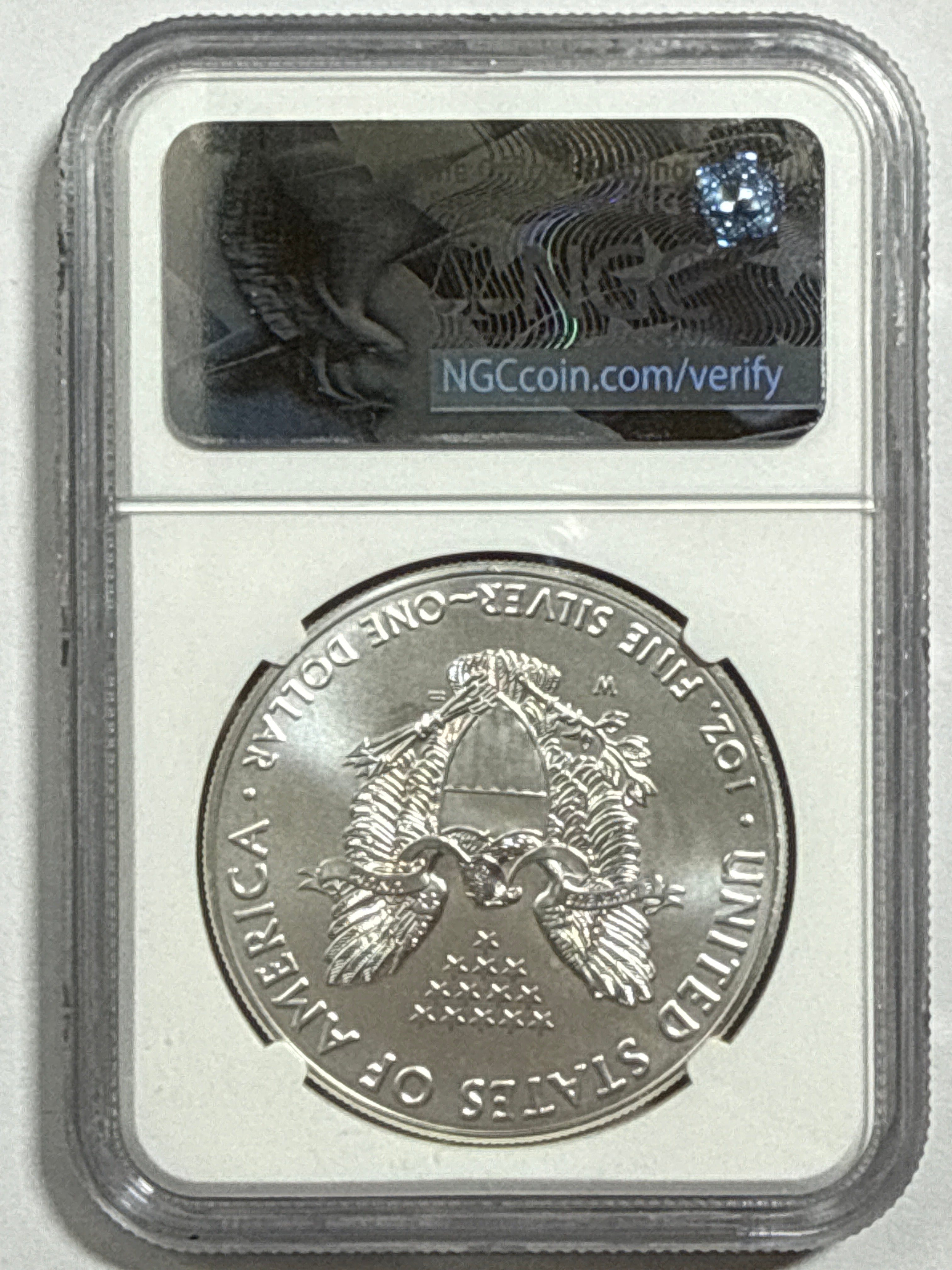 2017-W Burnished American Silver Eagle NGC MS70 FDOI Blue Label