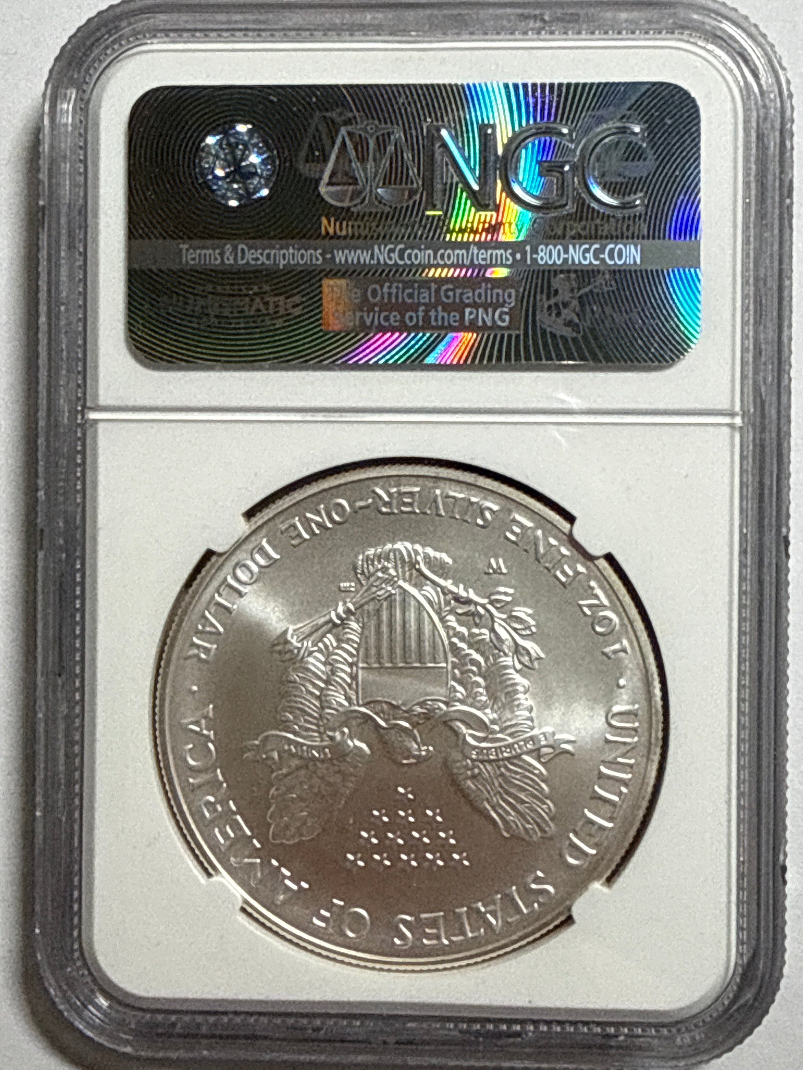 2007-W (Burnished) American Silver Eagle NGC MS70 ER