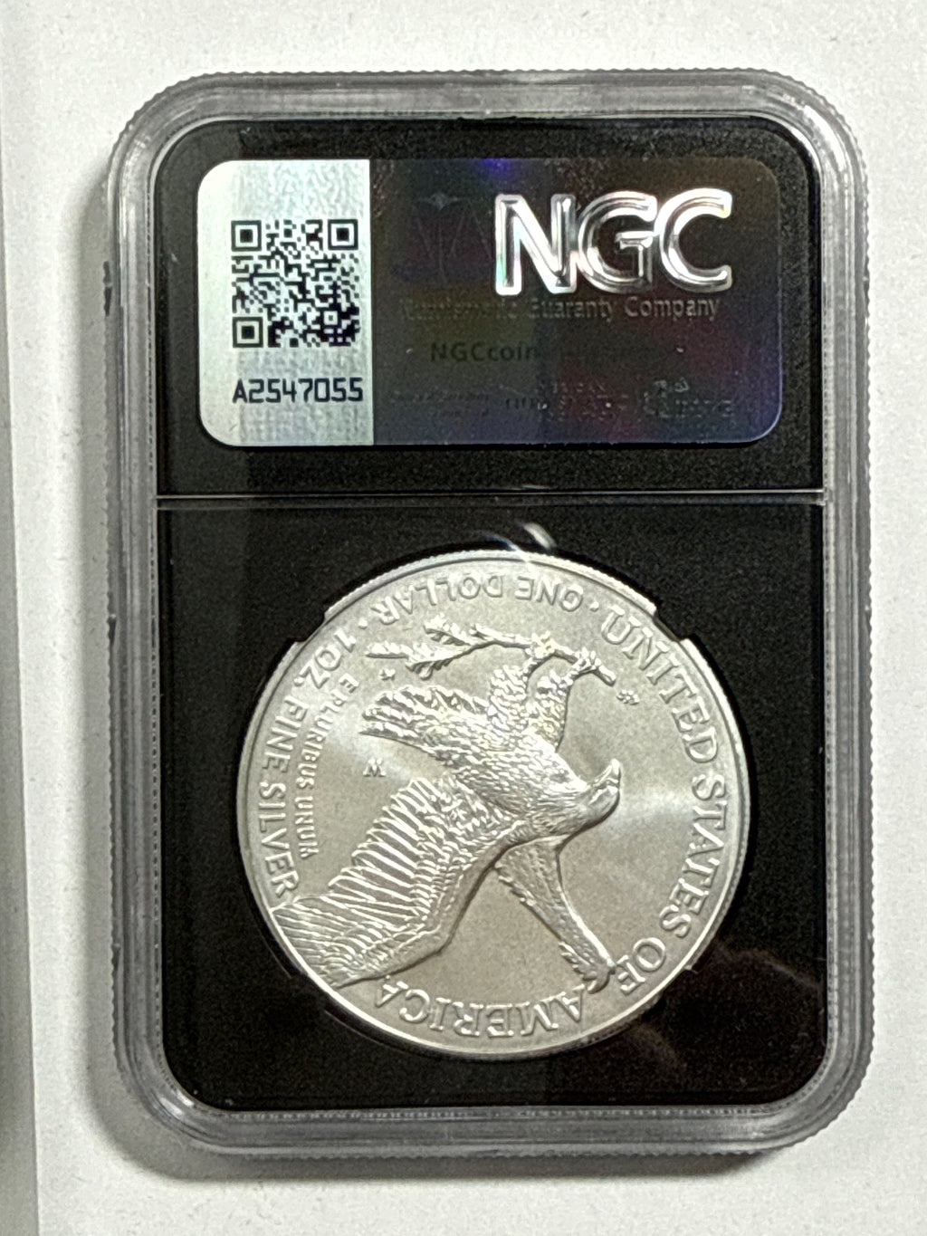 2025-W Burnished American Silver Eagle 5 Piece Set NGC MS70 FDOI Mercanti/Gaudioso/Ryder/Frost/Damstra with sisplay box