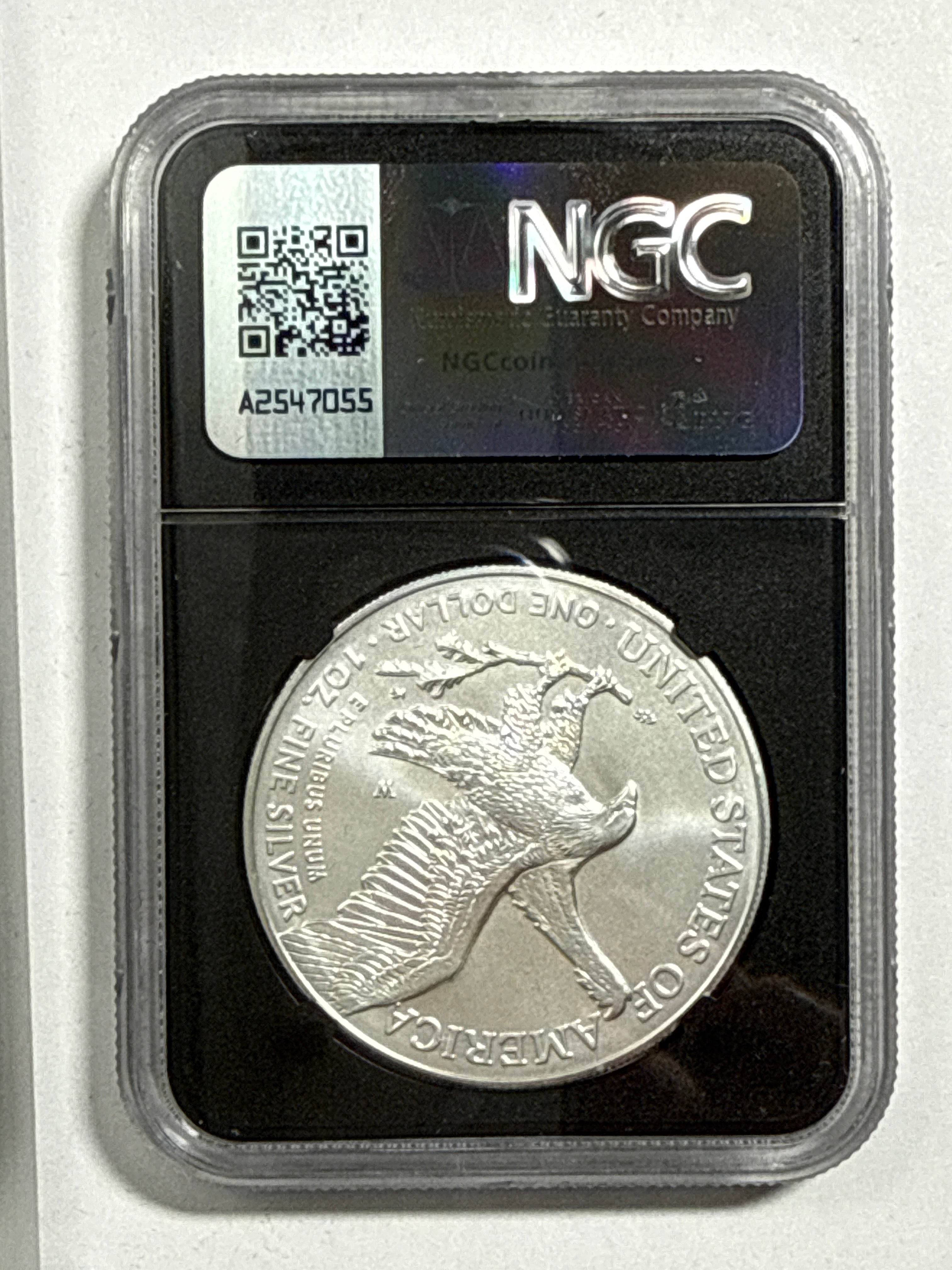 2025-W Burnished American Silver Eagle 5 Piece Set NGC MS70 FDOI Mercanti/Gaudioso/Ryder/Frost/Damstra with sisplay box
