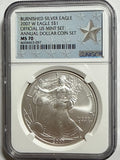 2007-W Burnished American Silver Eagle  NGC MS70 Official Mint Set