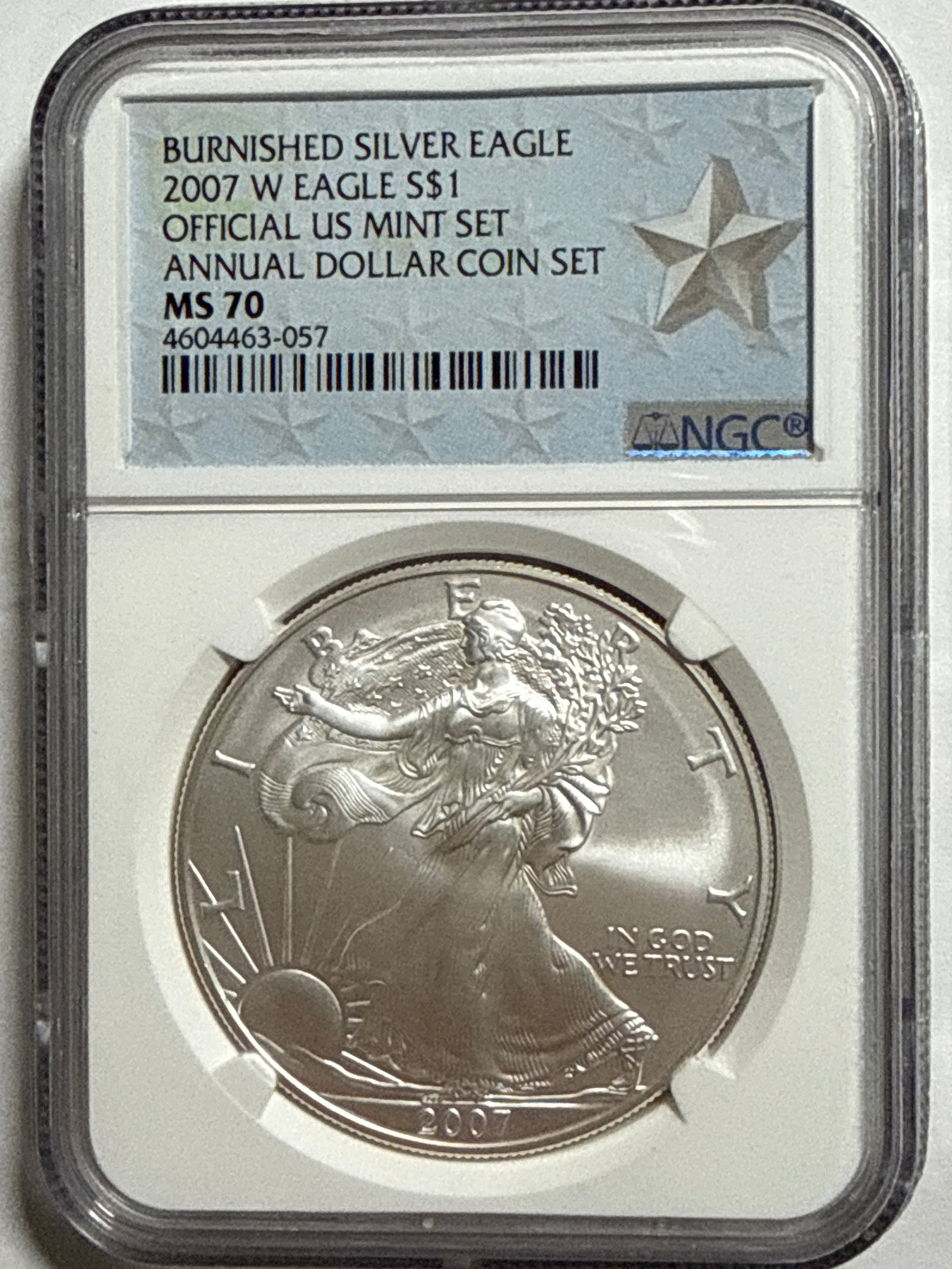 2007-W Burnished American Silver Eagle  NGC MS70 Official Mint Set