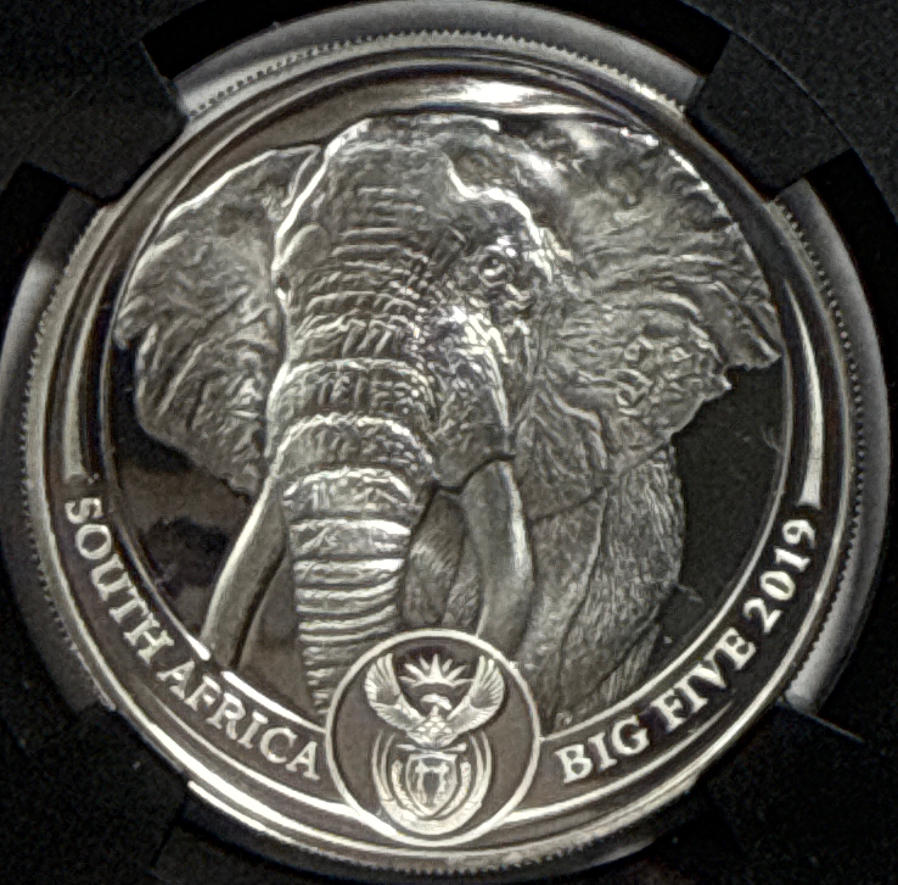 2019/2020/2021/ South Africa NGC FDI PF70 UCAM S5R Big 5 Elephant/Lion/Rhino/Spotted Leopard/Buffalo Tumi Tsehio signed