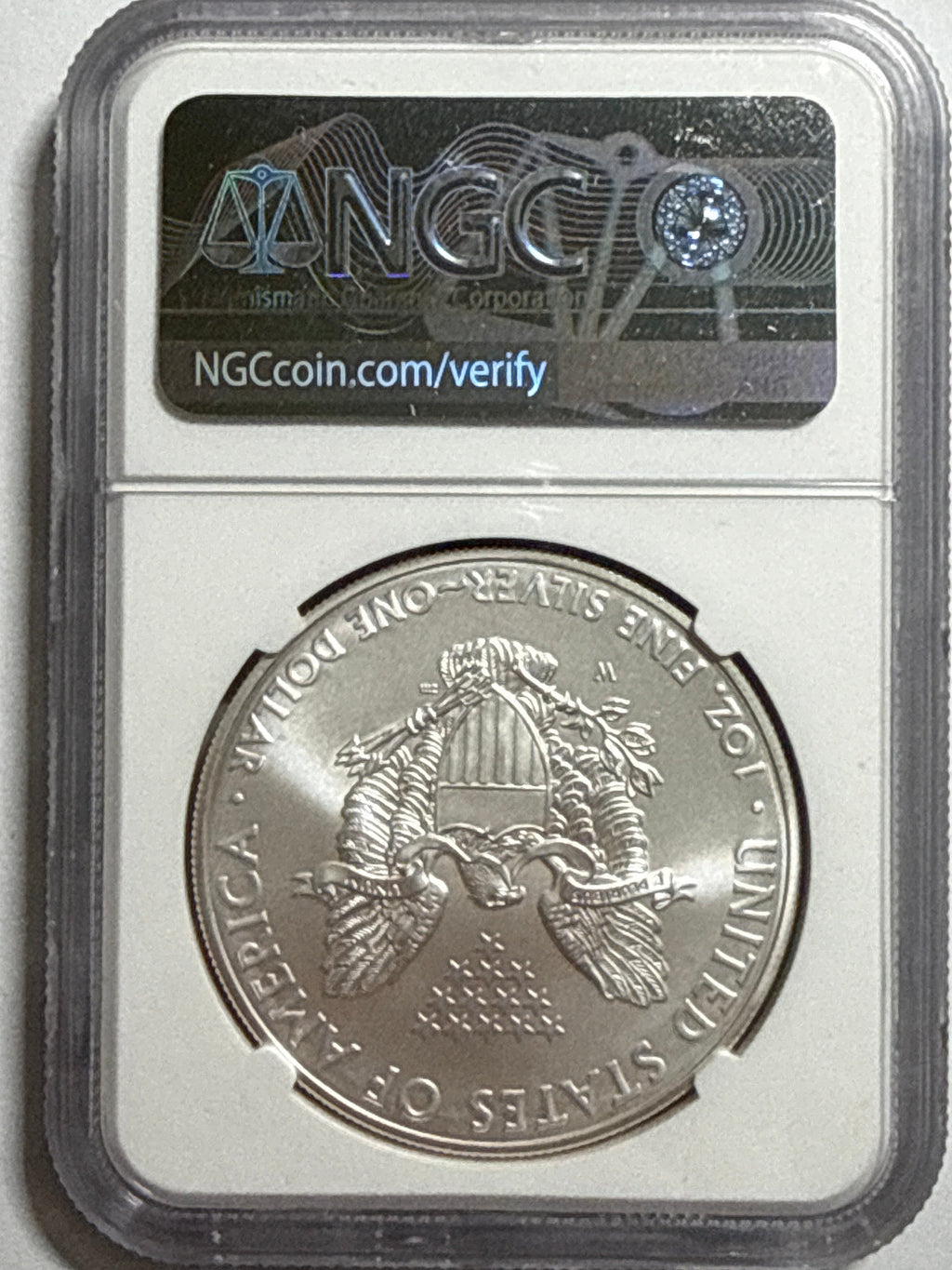 2007-W Burnished American Silver Eagle  NGC MS70 Official Mint Set