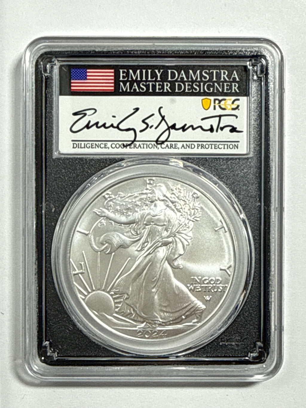 2024-W Burnished American Silver Eagle 5 Piece Set NGC/PCGS MS70/SP70 FDOI  Mercanti/Ryder/Jones/Gaudioso/Damstra with display box.