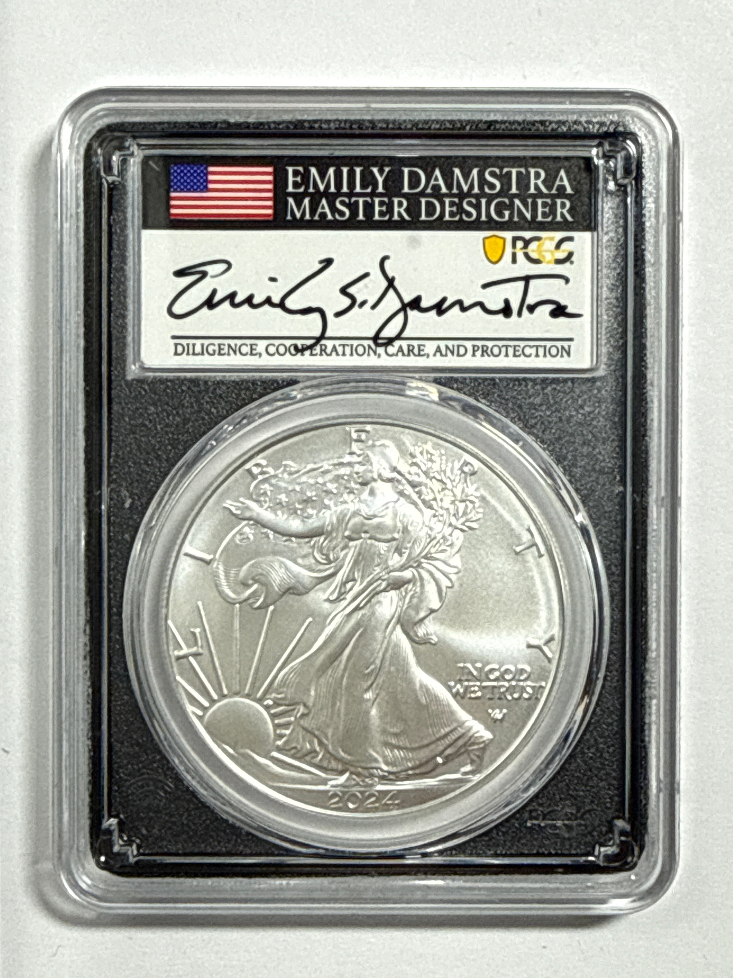 2024-W Burnished American Silver Eagle 5 Piece Set NGC/PCGS MS70/SP70 FDOI  Mercanti/Ryder/Jones/Gaudioso/Damstra with display box.