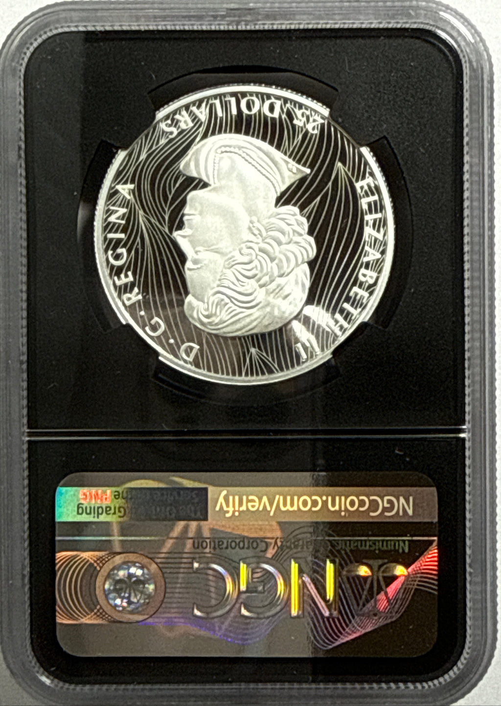 2021 Canada $25 Silver Buffalo NGC Extra High Relief First Day of Production FDI PF70 UCAM Susan Taylor Hand Signed