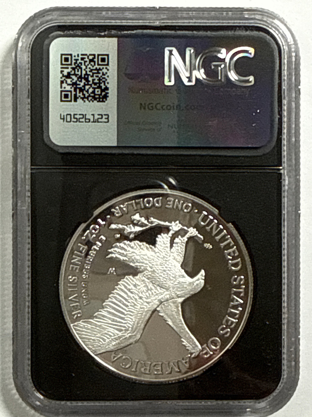 2024-W American Silver Eagle 5 Coin Set NGC FDOI PF70 UCAM/PR70 DCAM Gaudioso/Mercanti/Ryder/Jopnes/Damstra
