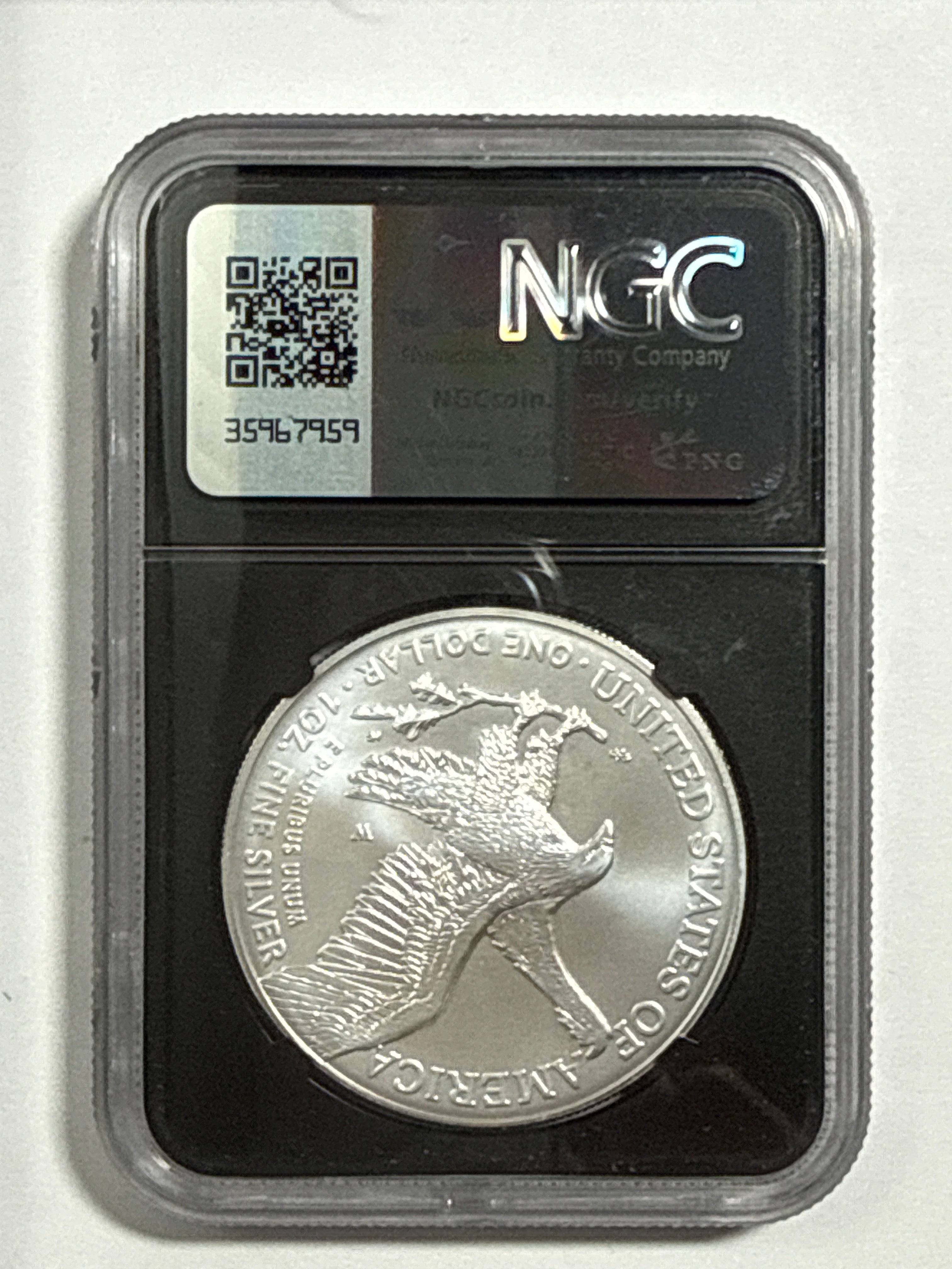 2024-W Burnished American Silver Eagle 5 Piece Set NGC/PCGS MS70/SP70 FDOI  Mercanti/Ryder/Jones/Gaudioso/Damstra with display box.