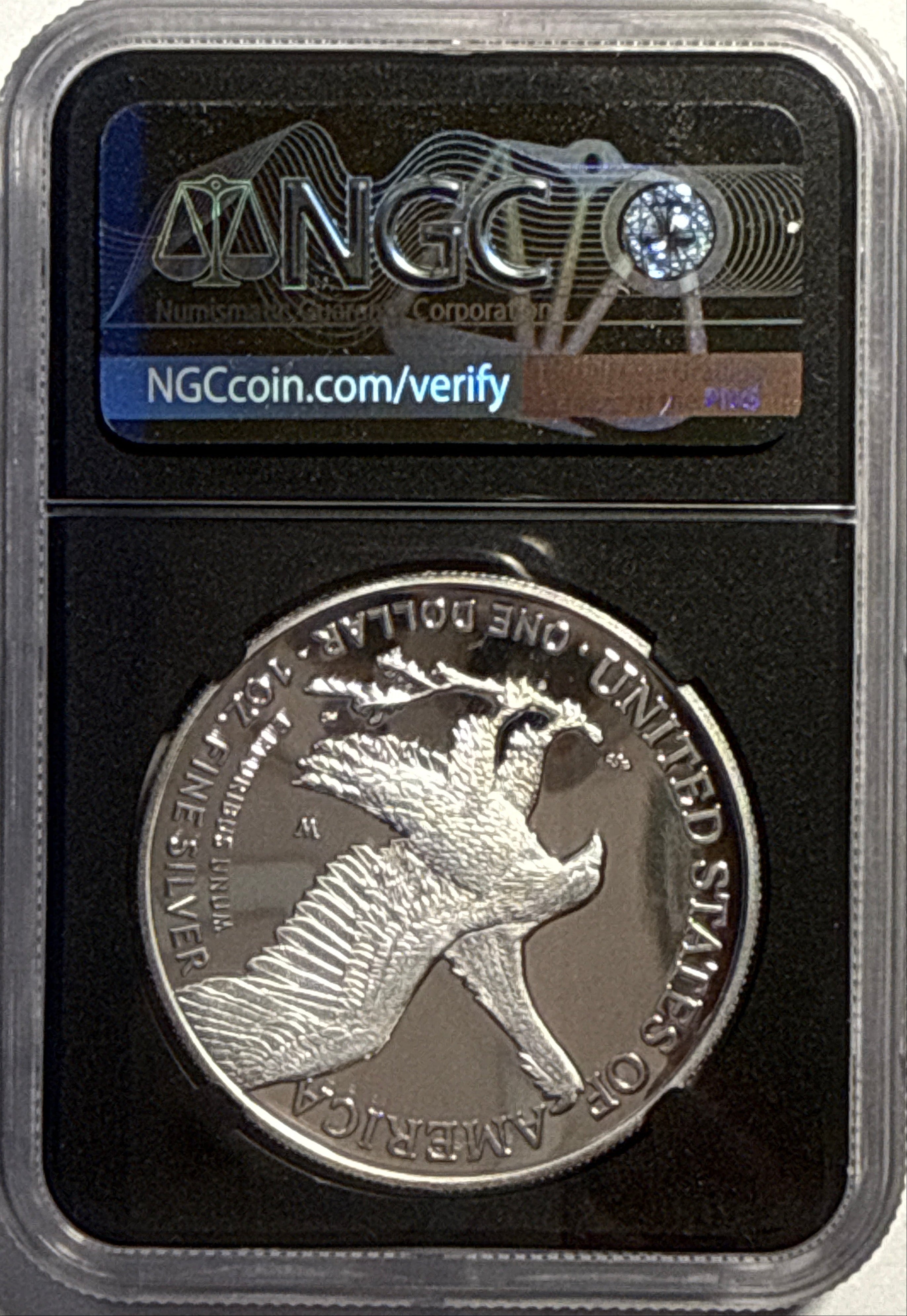 2022-W American Silver Eagle $1 NGC ER MS70 Flag Label Black Core