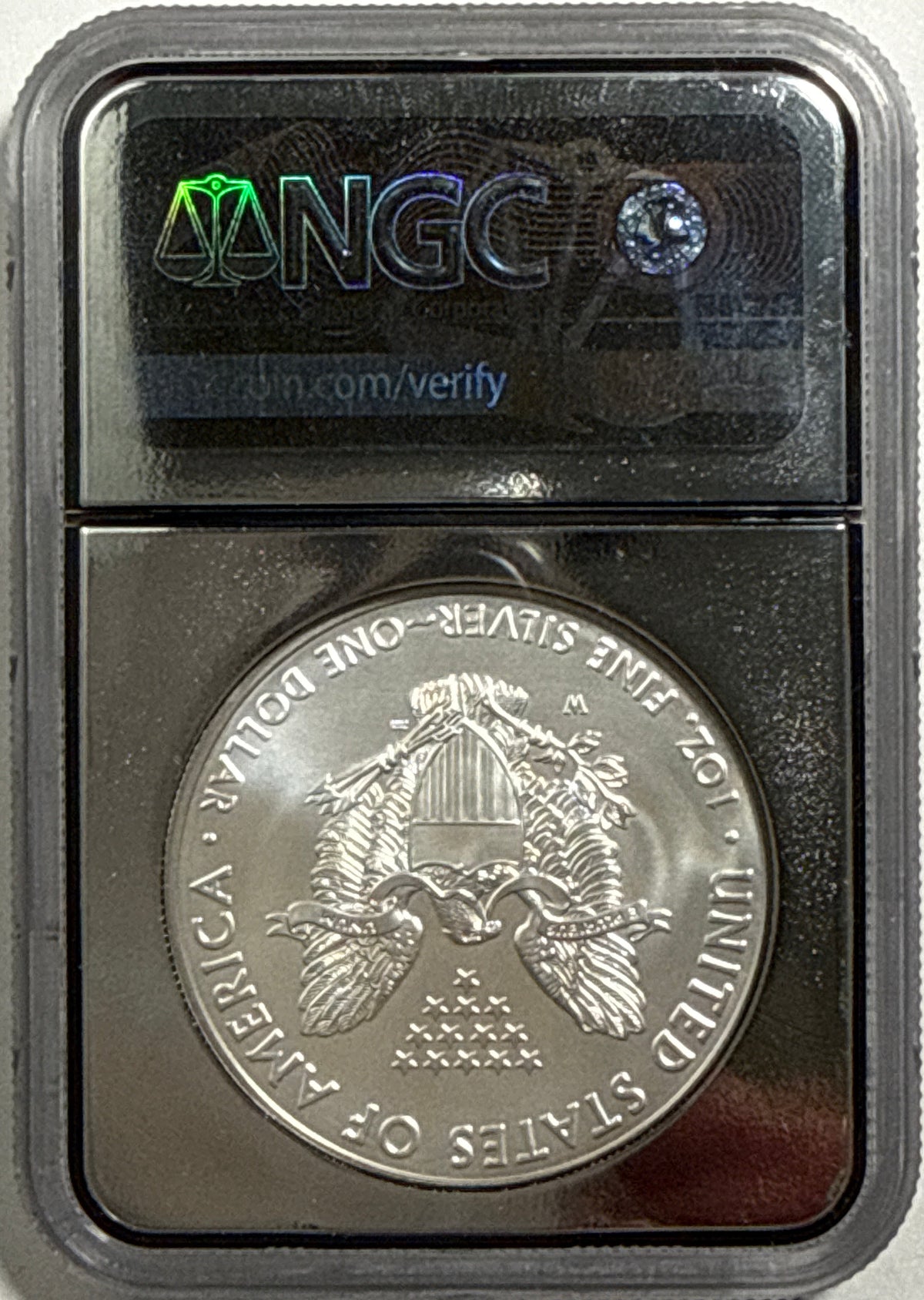2020-W Burnished American Siver Eagle $1 NGC ER MS70 Star Label